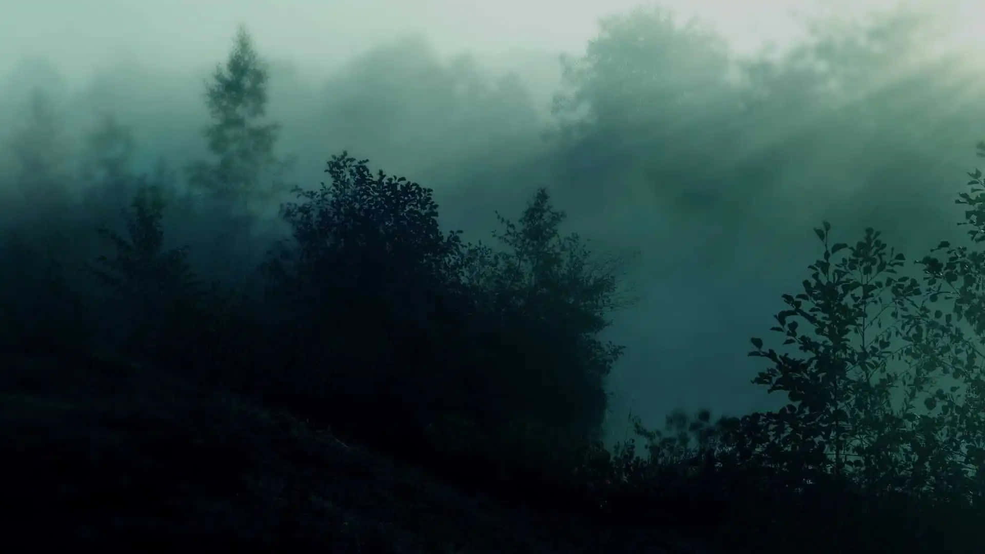 mystical forest mist, teal and gray fog, misty hillside, Full HD Desktop Wallpaper