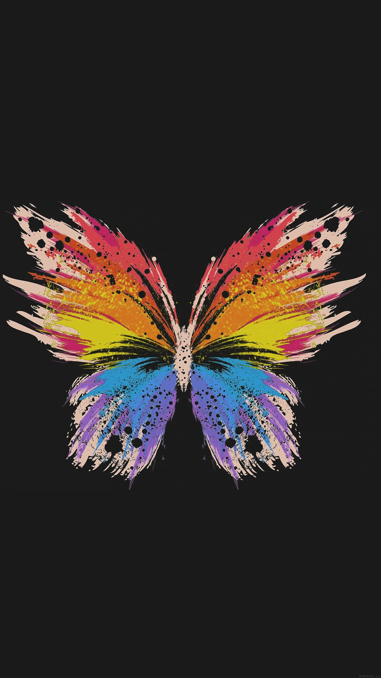 rainbow butterfly, splattered paint wings, black speckles, Full HD Phone Wallpaper