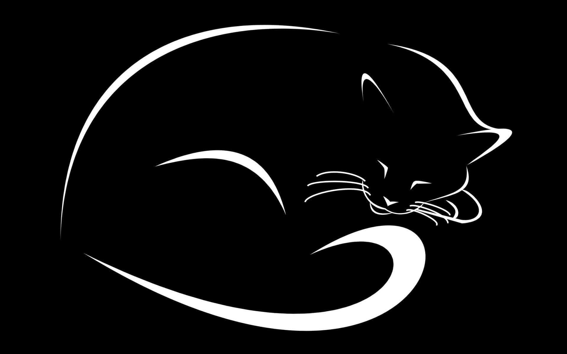 Dark Cute Cat Artwork, minimalist white line drawing, curled sleeping cat, Full HD Desktop Wallpaper