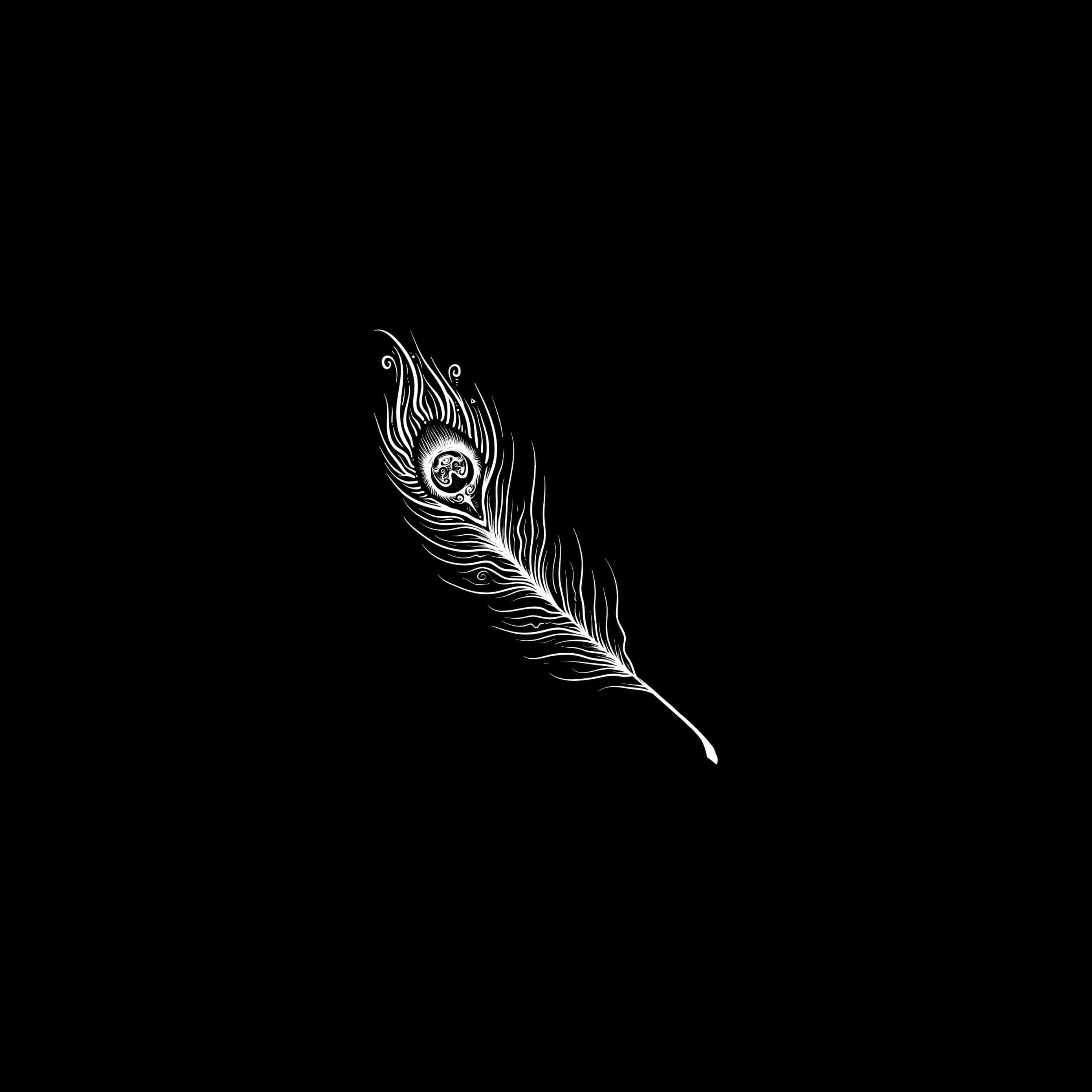 Dark Cute iPad, white ornate feather, intricate patterns, 2K Desktop Wallpaper