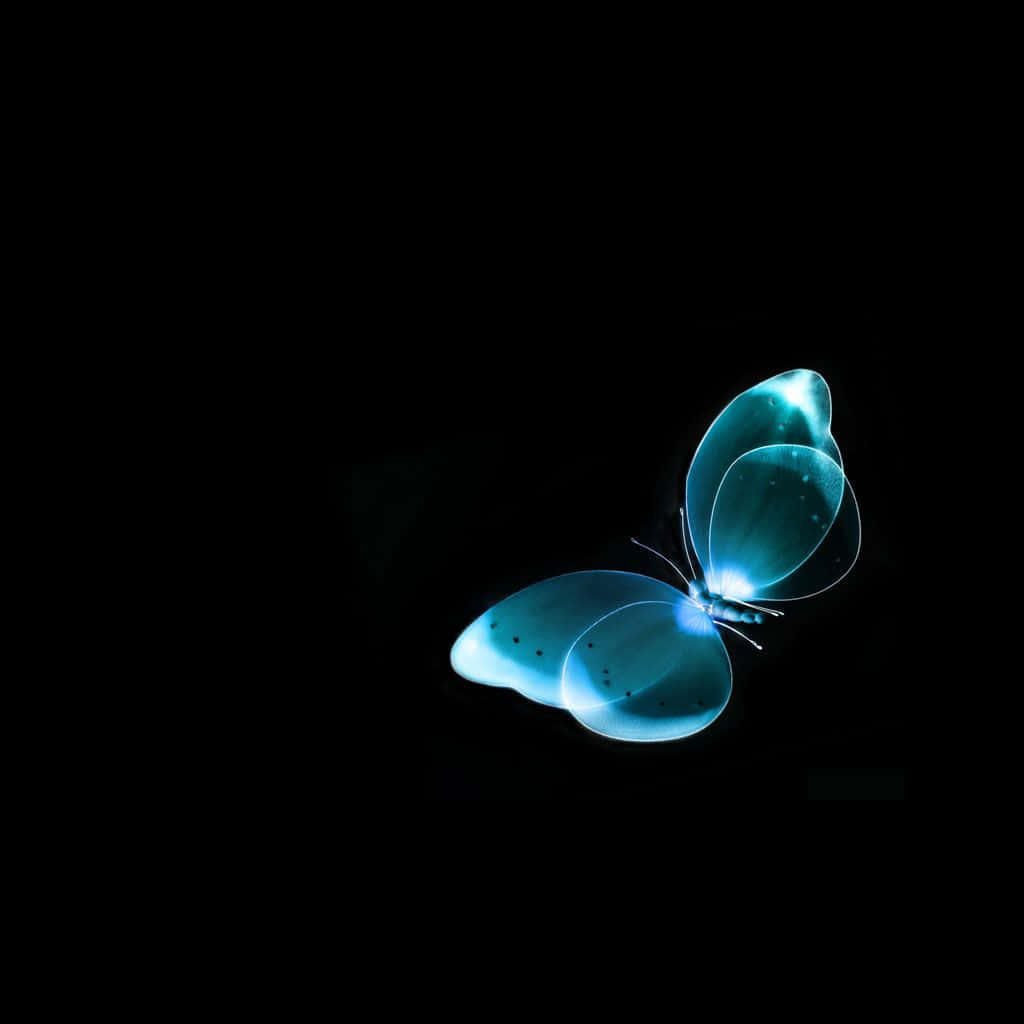 dark cute ipad, luminous blue butterfly, glowing wings, SD Desktop Wallpaper