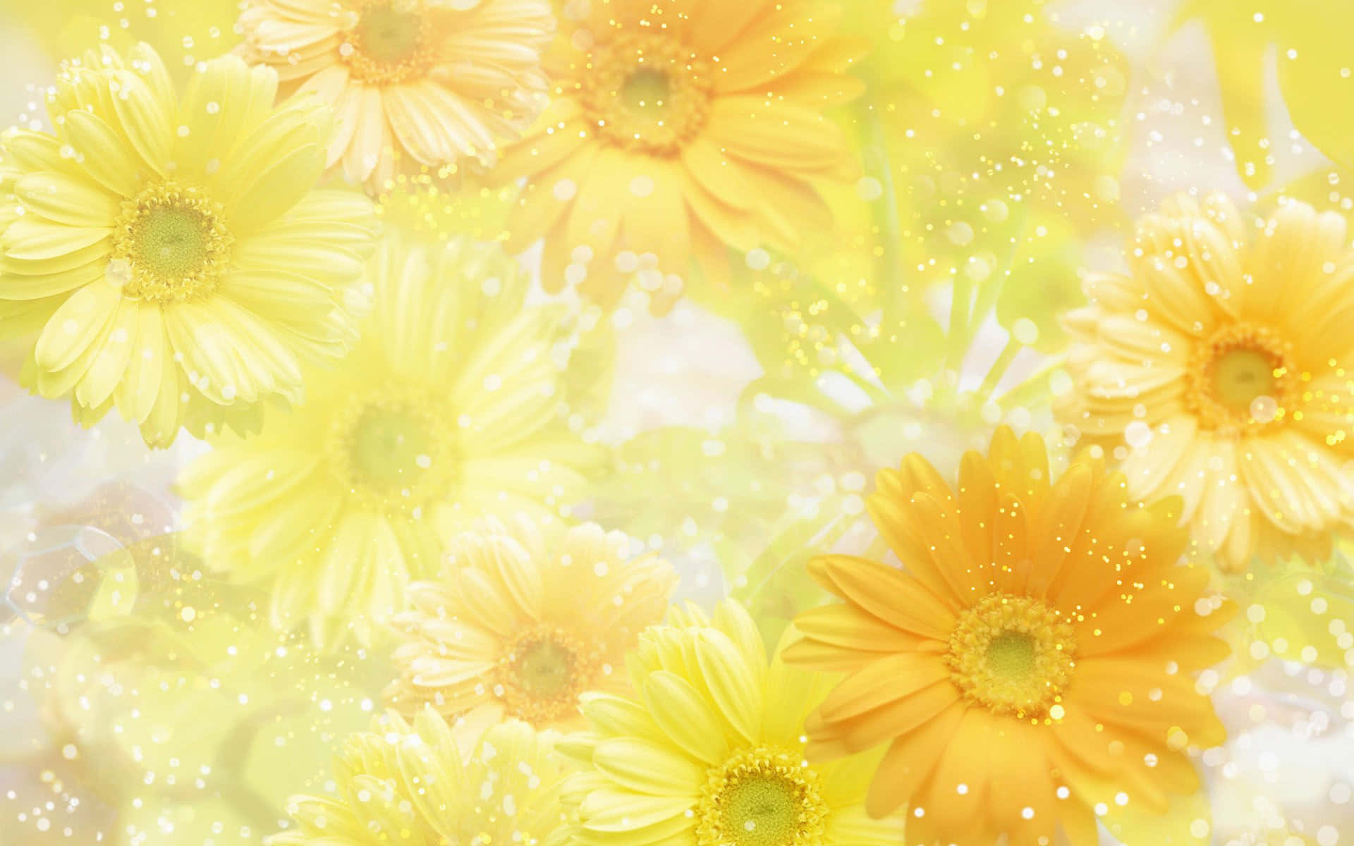 pastel yellow laptop, textured wall, vibrant yellow daisies, Full HD Desktop Wallpaper