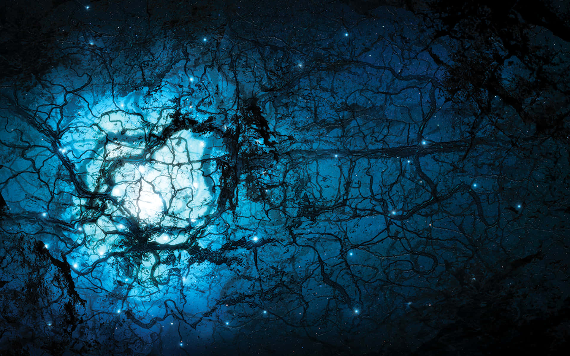 Dark Divinity, glowing blue celestial body, intricate dark branches, Full HD Desktop Wallpaper