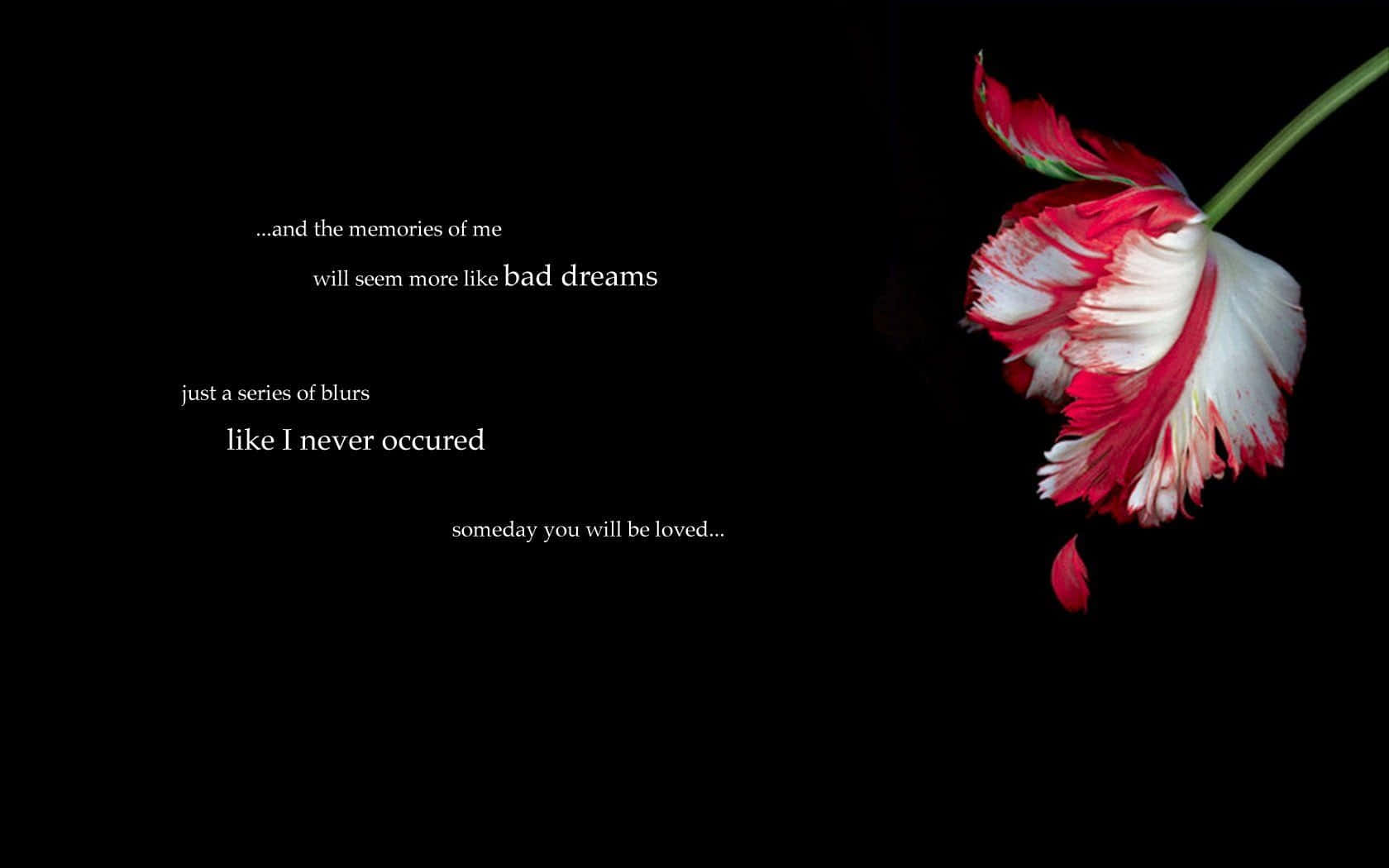 Dark Emo, red and white fringed flower, black background, HD Desktop Wallpaper