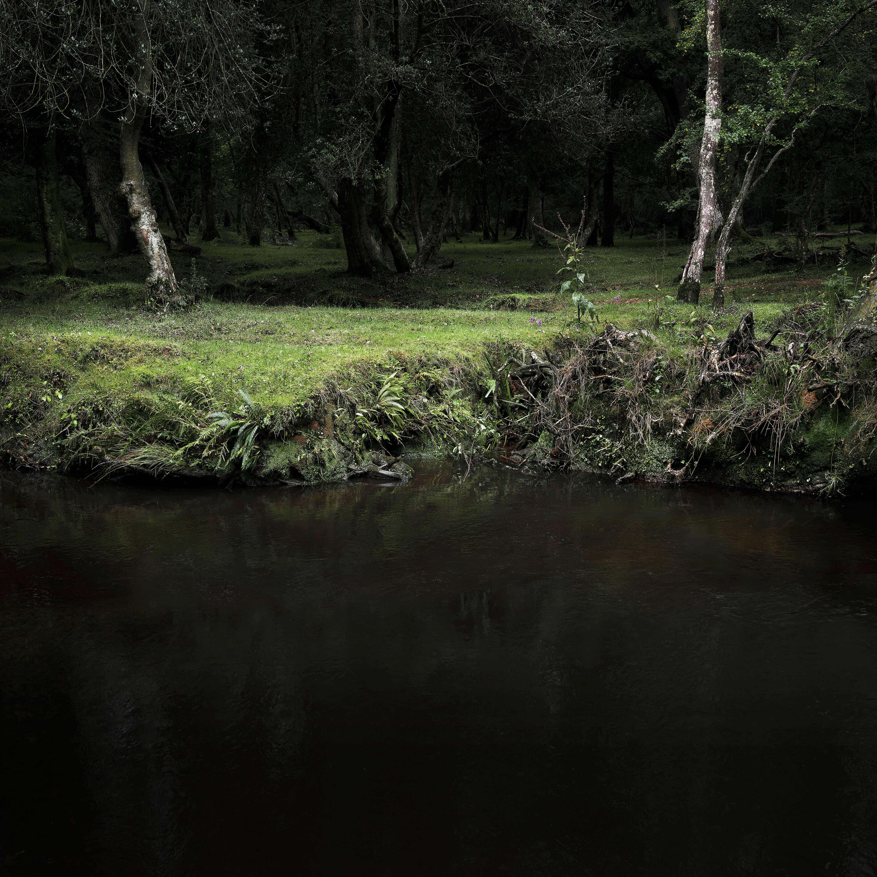 Dark Fairycore, forest stream, mossy bank, 2K Desktop Wallpaper