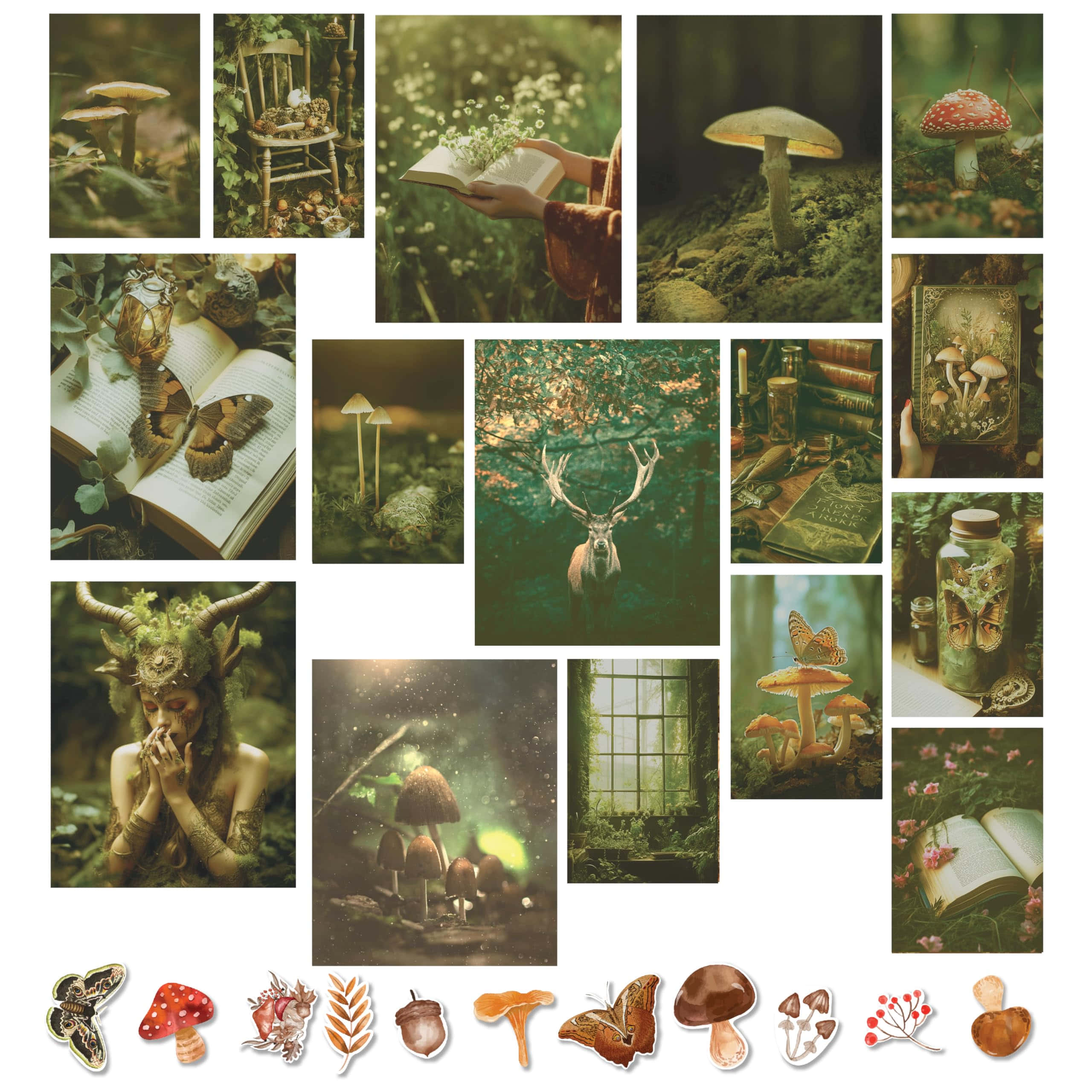 enchanted forest, mushrooms, butterflies, 2K Desktop Wallpaper