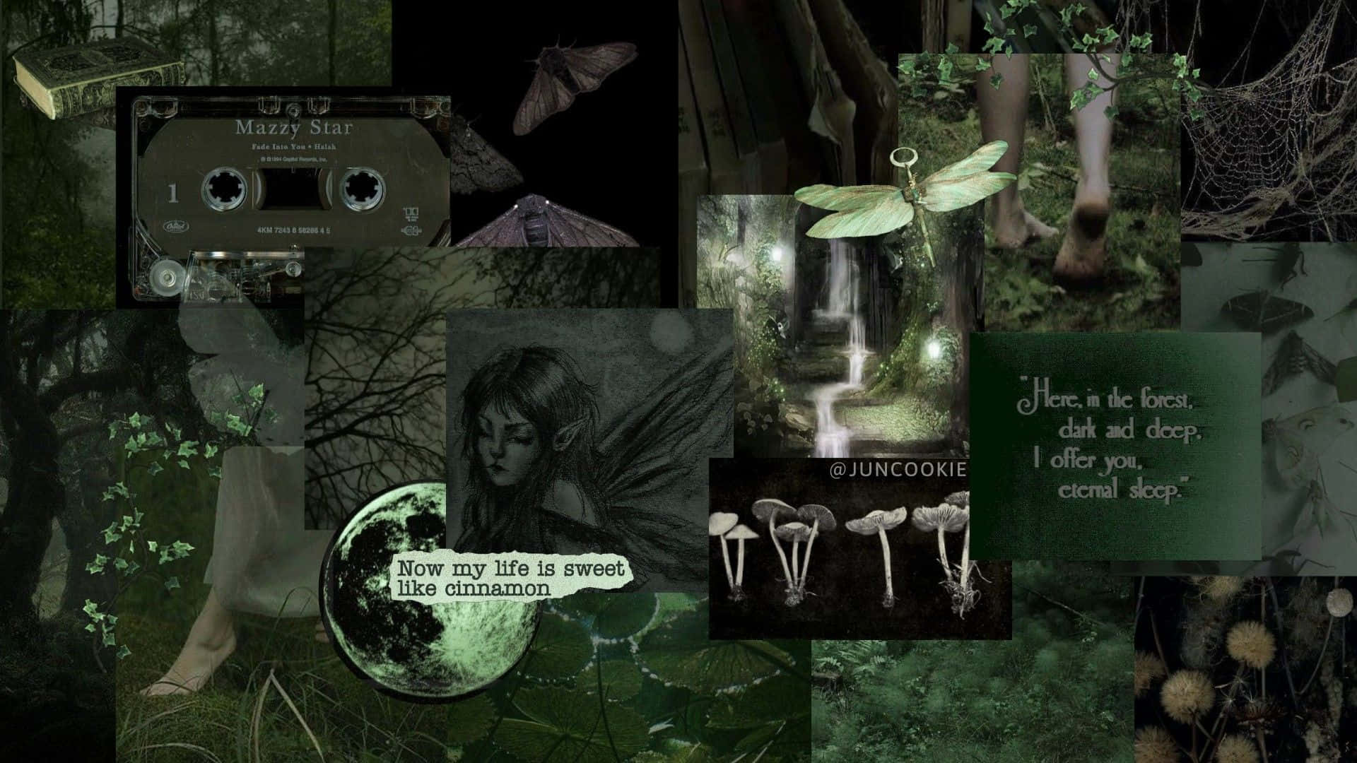 dark green forest, cassette tape, glowing moon, Full HD Desktop Wallpaper