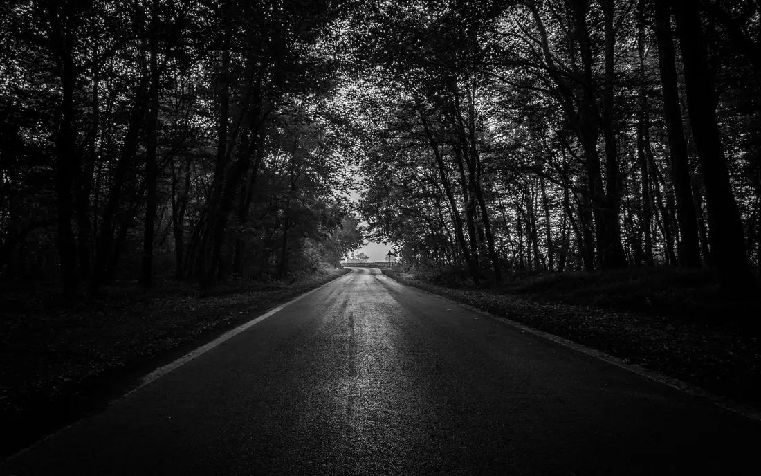Dark Fall Aesthetic