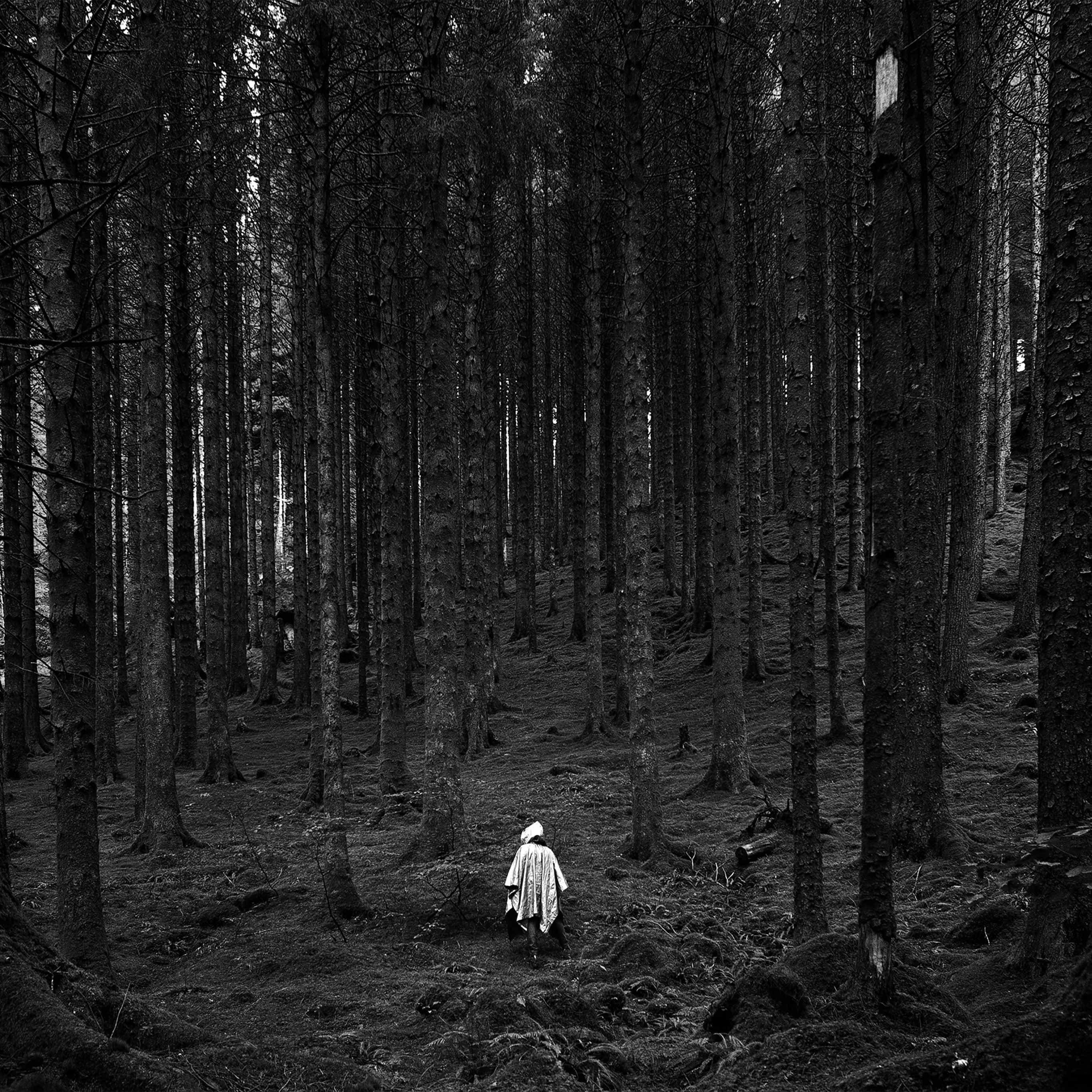dark nature, white cloak, dense dark forest, 2K Desktop Wallpaper