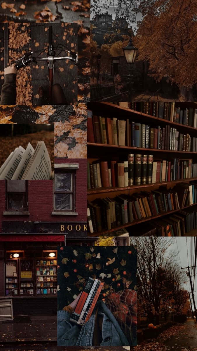 Dark Fall, book lovers, autumn, SD Phone Wallpaper