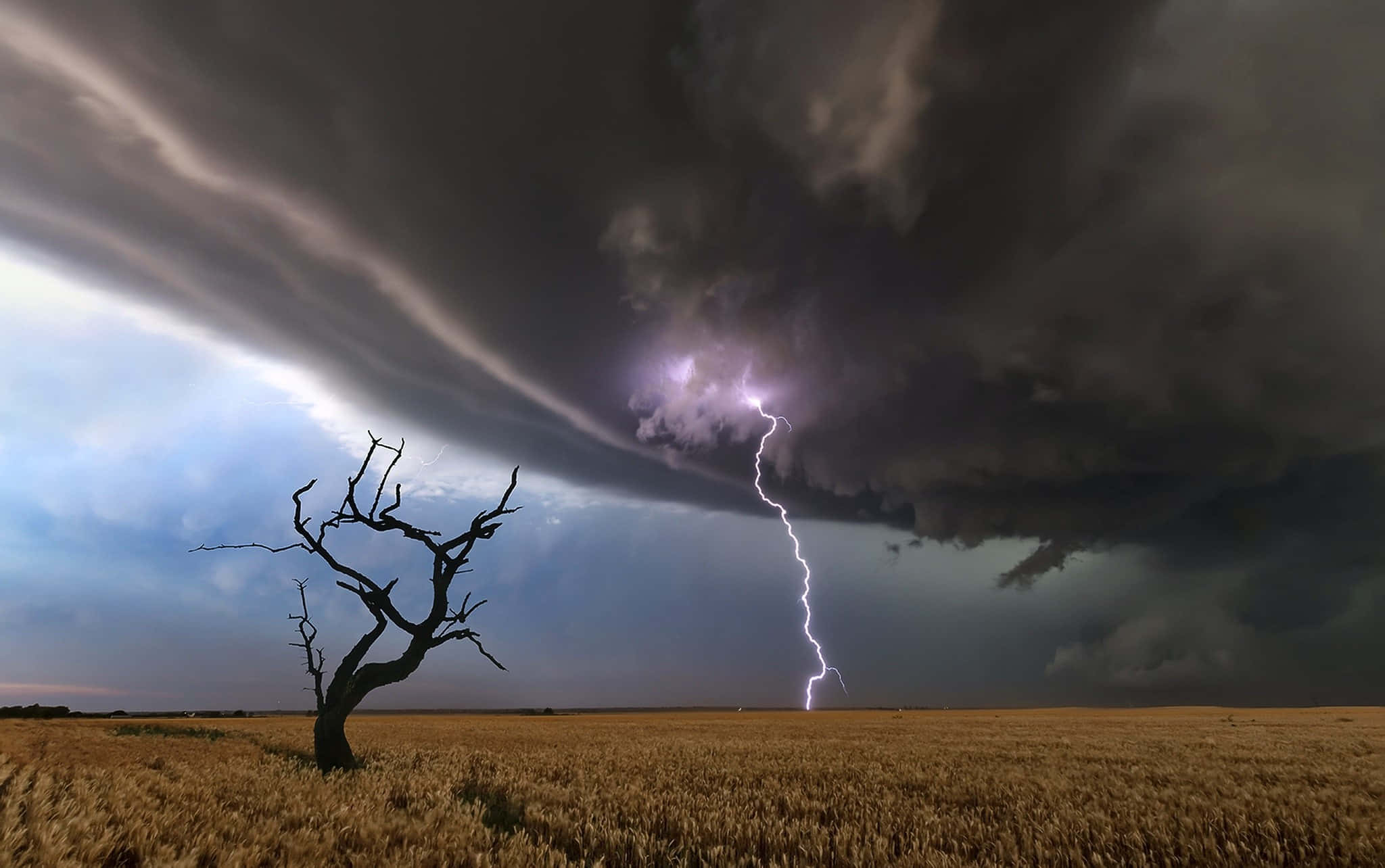 Dark Storm, 2048 x 1284, golden field, Full HD Desktop Wallpaper