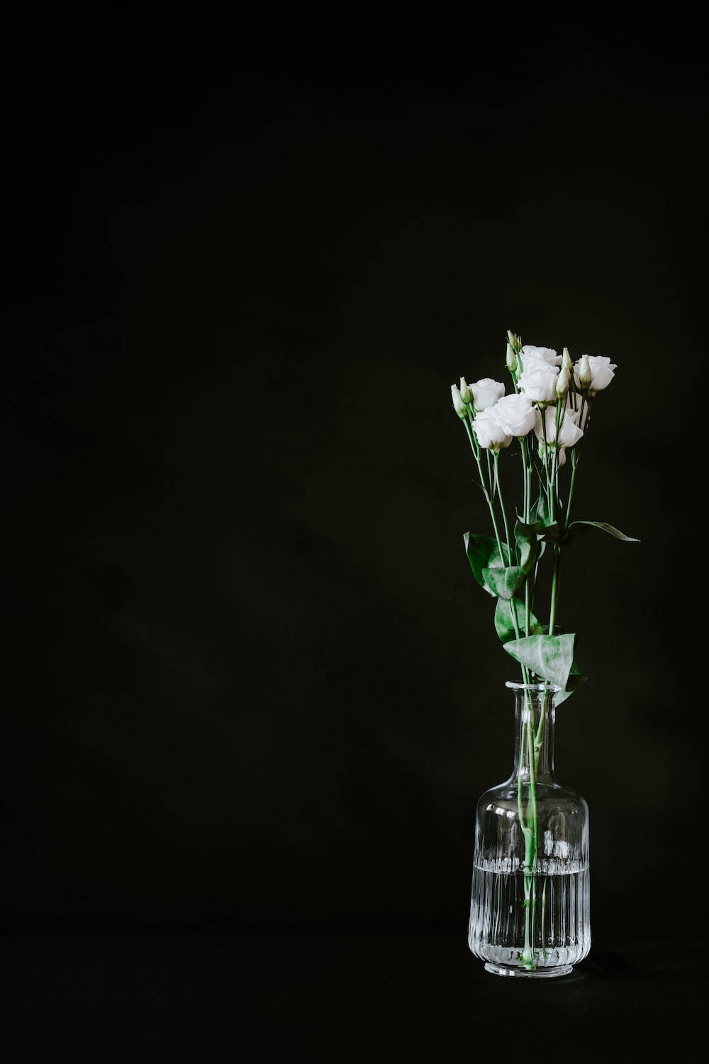 Dark Floral, clear glass vase, delicate white flowers, HD Phone Wallpaper