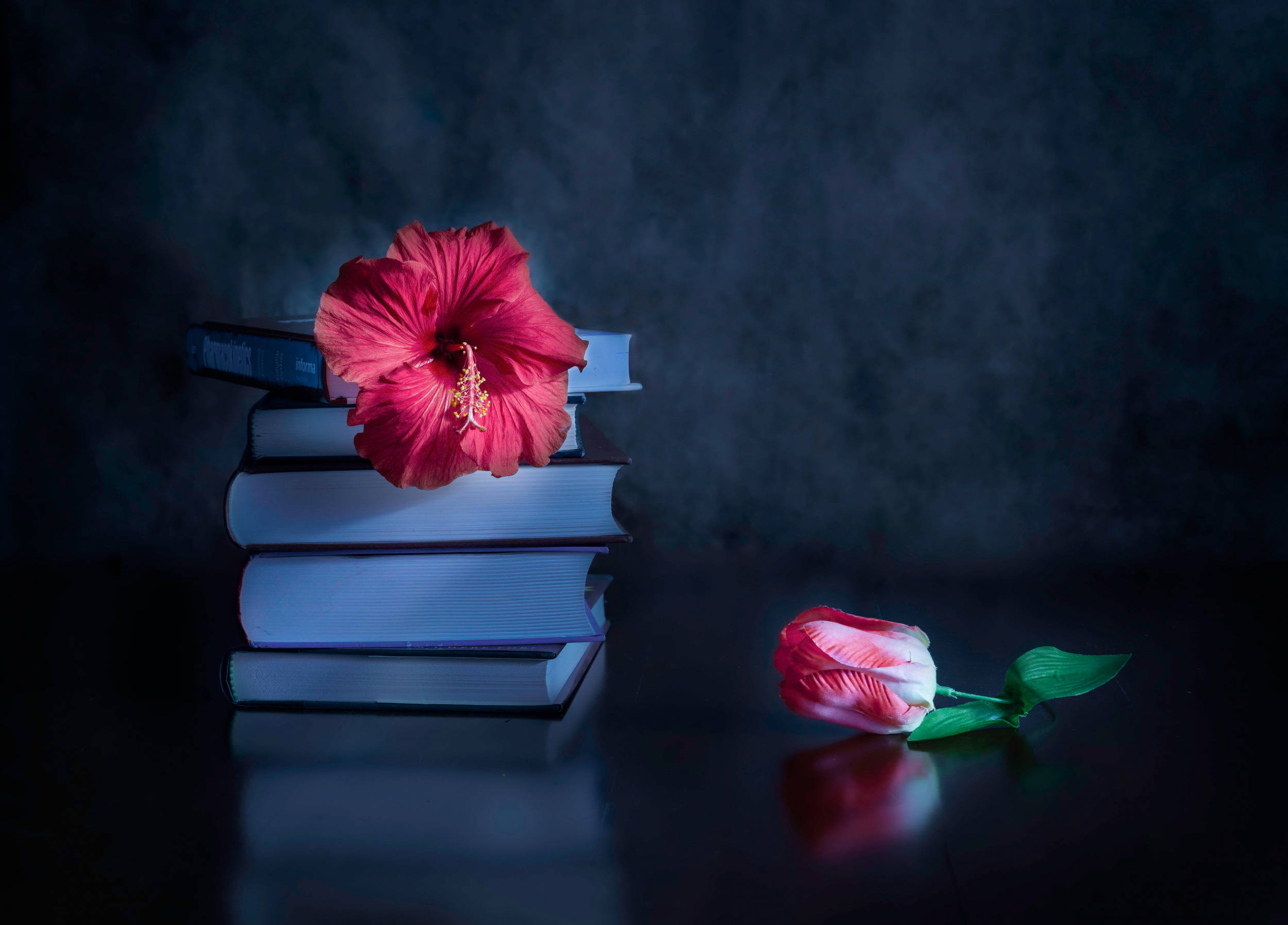 dark pink floral, hibiscus, books, Full HD Desktop Wallpaper