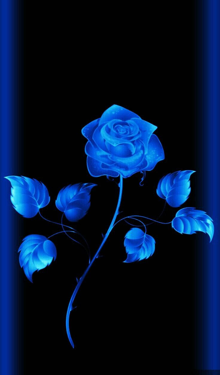 electric blue rose, luminous leaves, stark black background, SD Phone Wallpaper