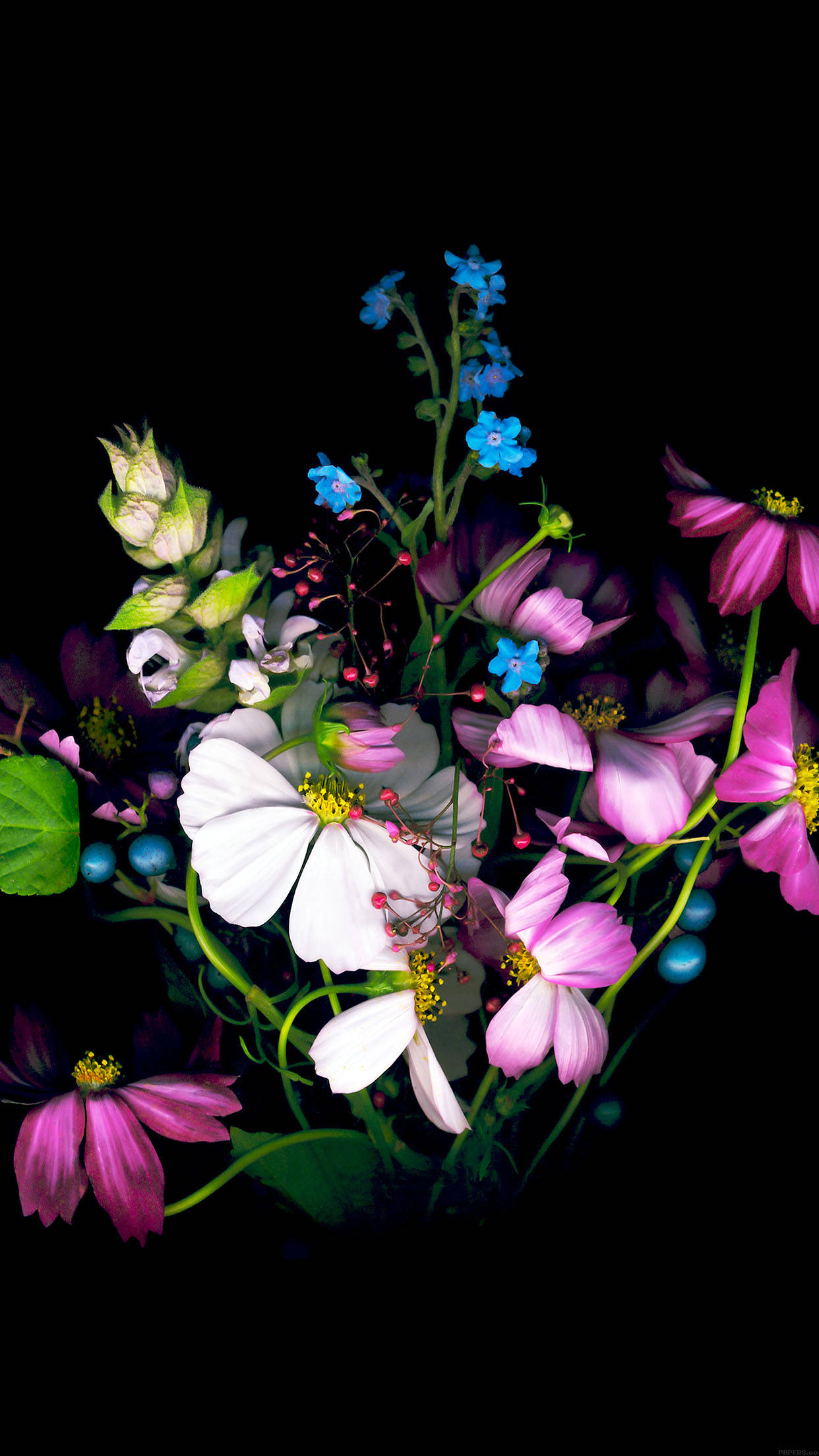 Colorful Dark Floral, vibrant pink, white, Full HD Phone Wallpaper