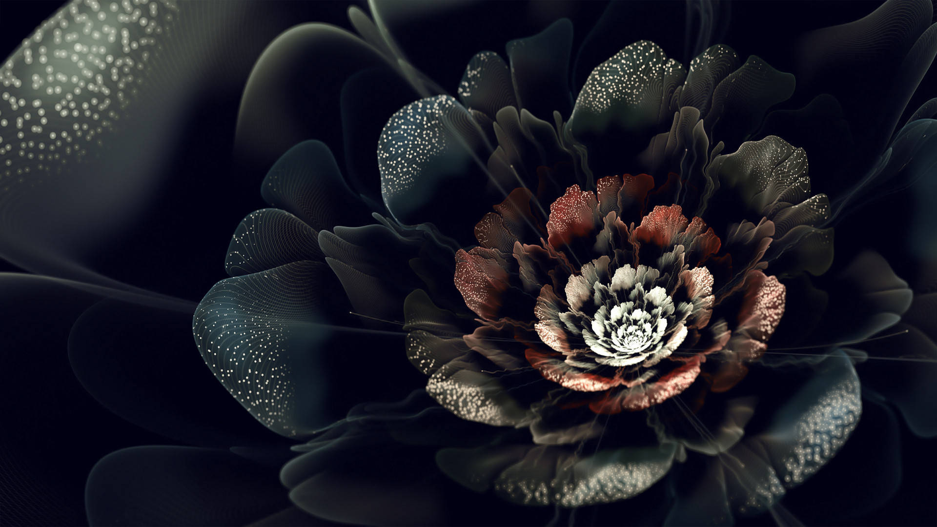 Black Dark Floral Petals, dark petals, glowing speckles, Full HD Desktop Wallpaper