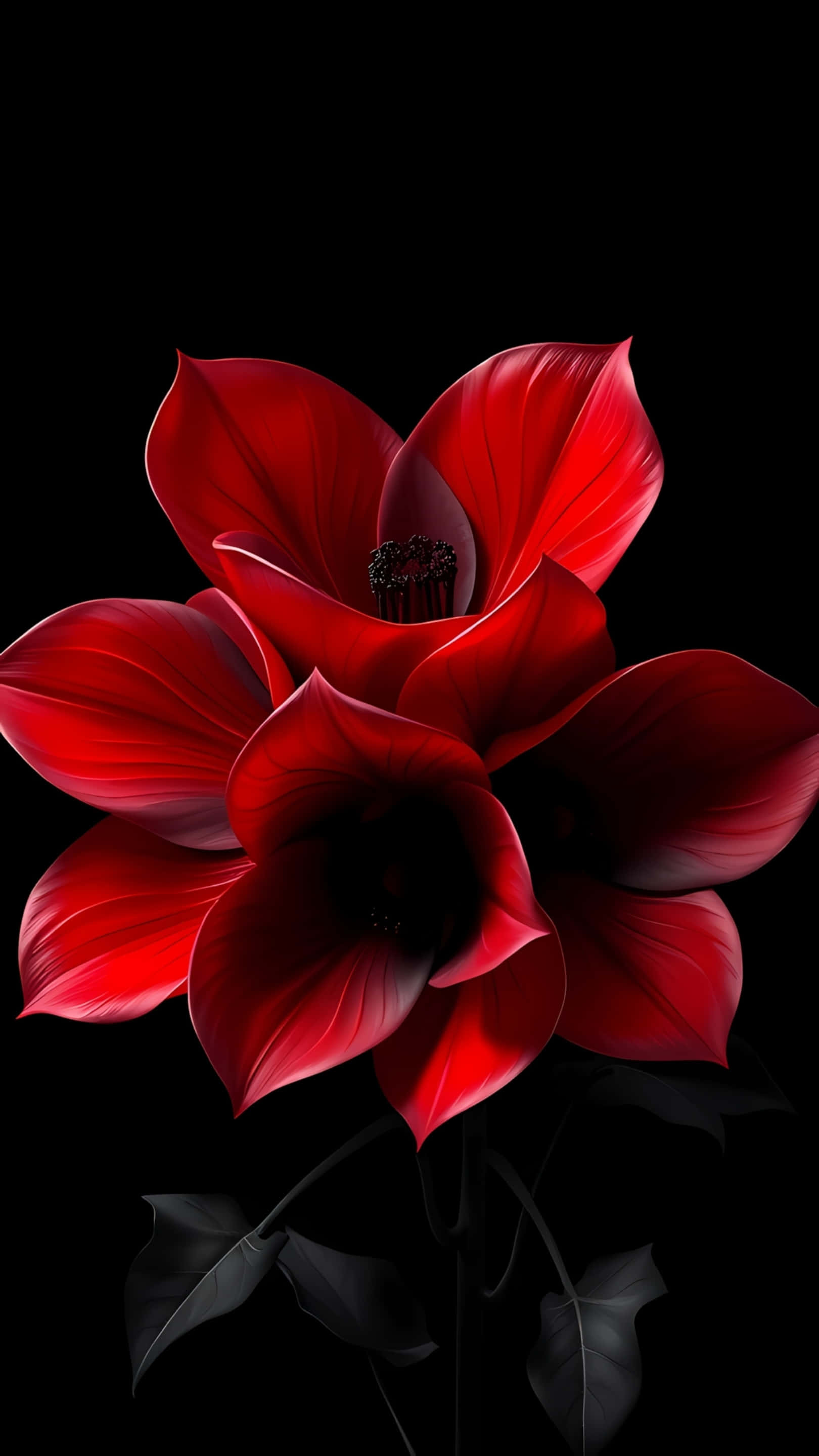dramatic red flower, glossy petals, stark black background, 2K Phone Wallpaper