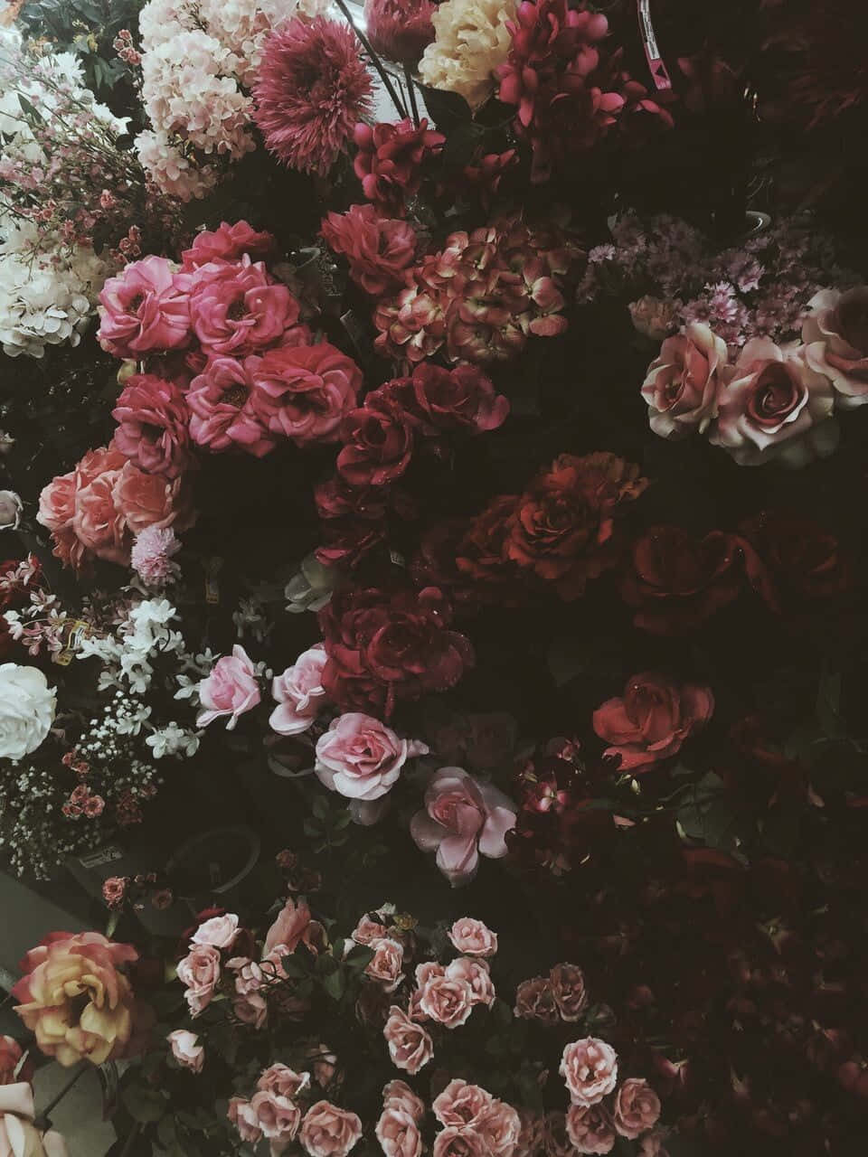 Dark Flower Aesthetic, deep reds, pinks, HD Phone Wallpaper