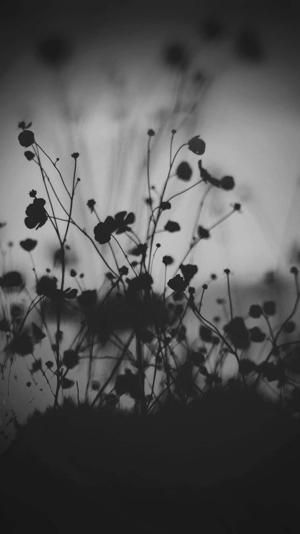 dark flower aesthetic, wildflowers, silhouetted, Full HD Phone Wallpaper