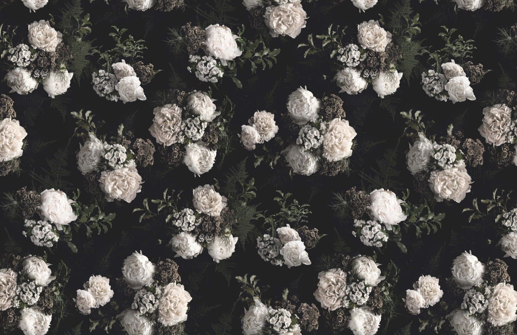 dark flower aesthetic, white flowers, gray flowers, HD Desktop Wallpaper