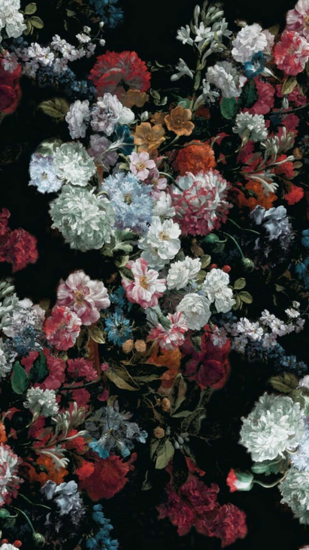 Dark Flower Aesthetic, colorful flowers, full bloom, HD Phone Wallpaper