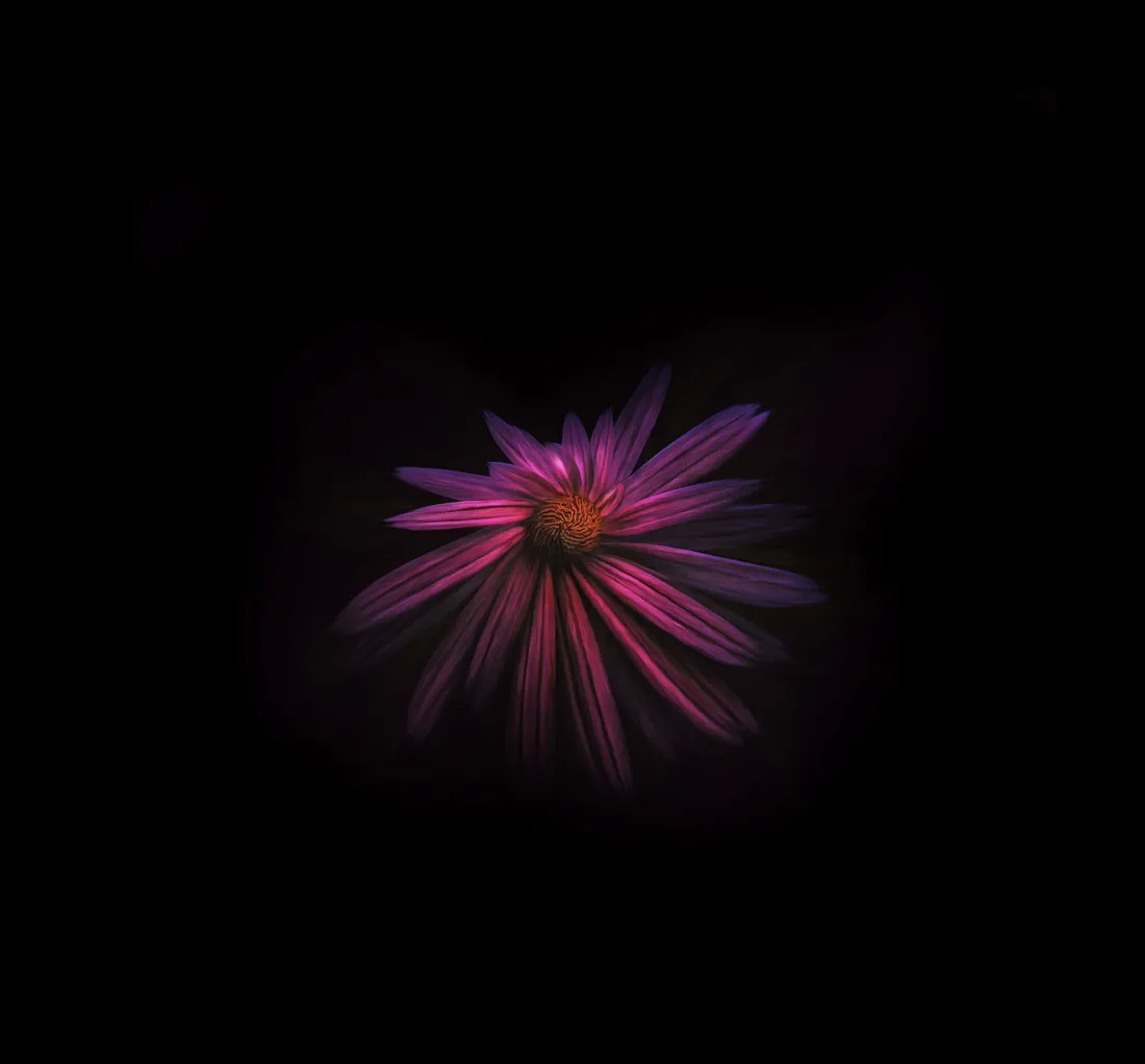 Dark Flower