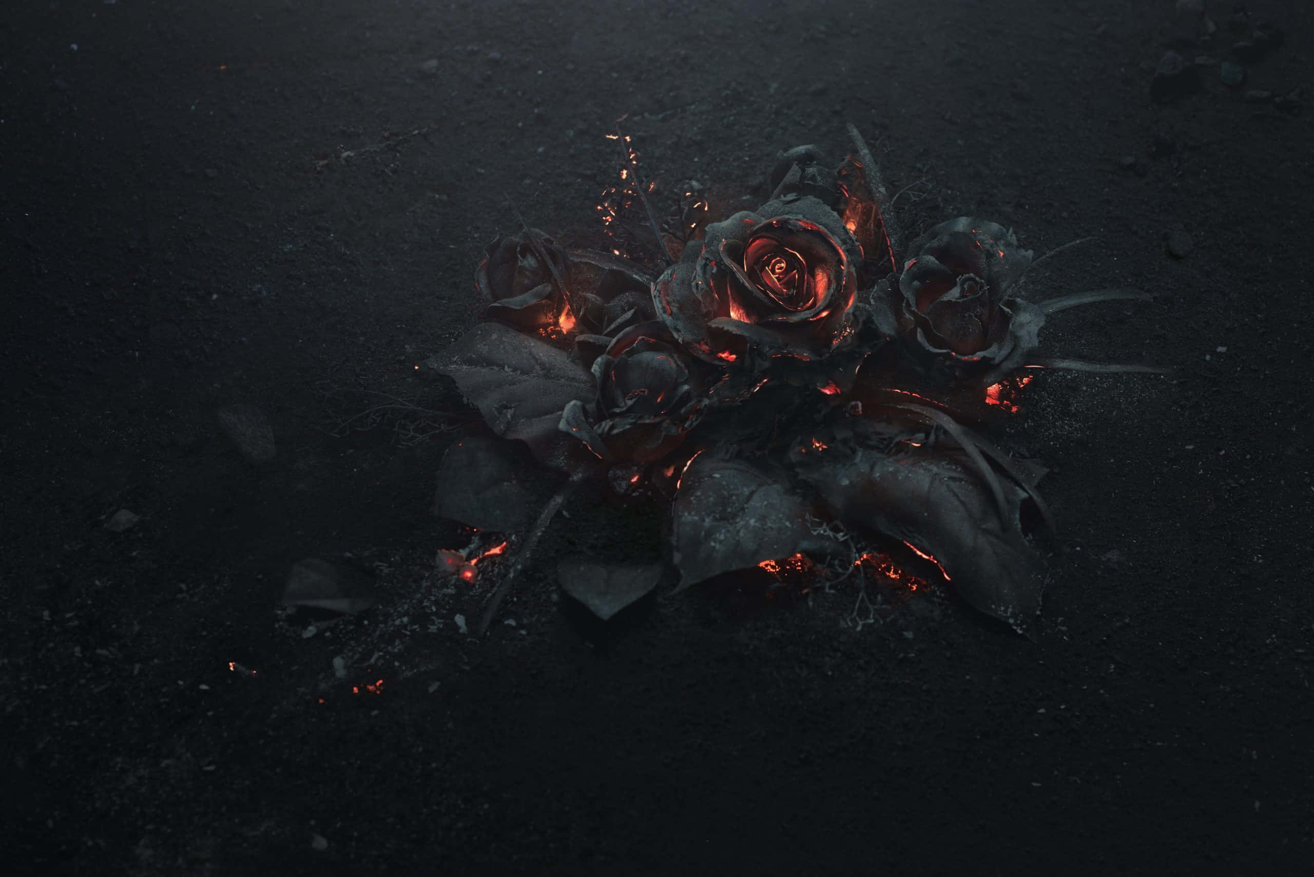 dark flower aesthetic, black rose, flames, 2K Desktop Wallpaper