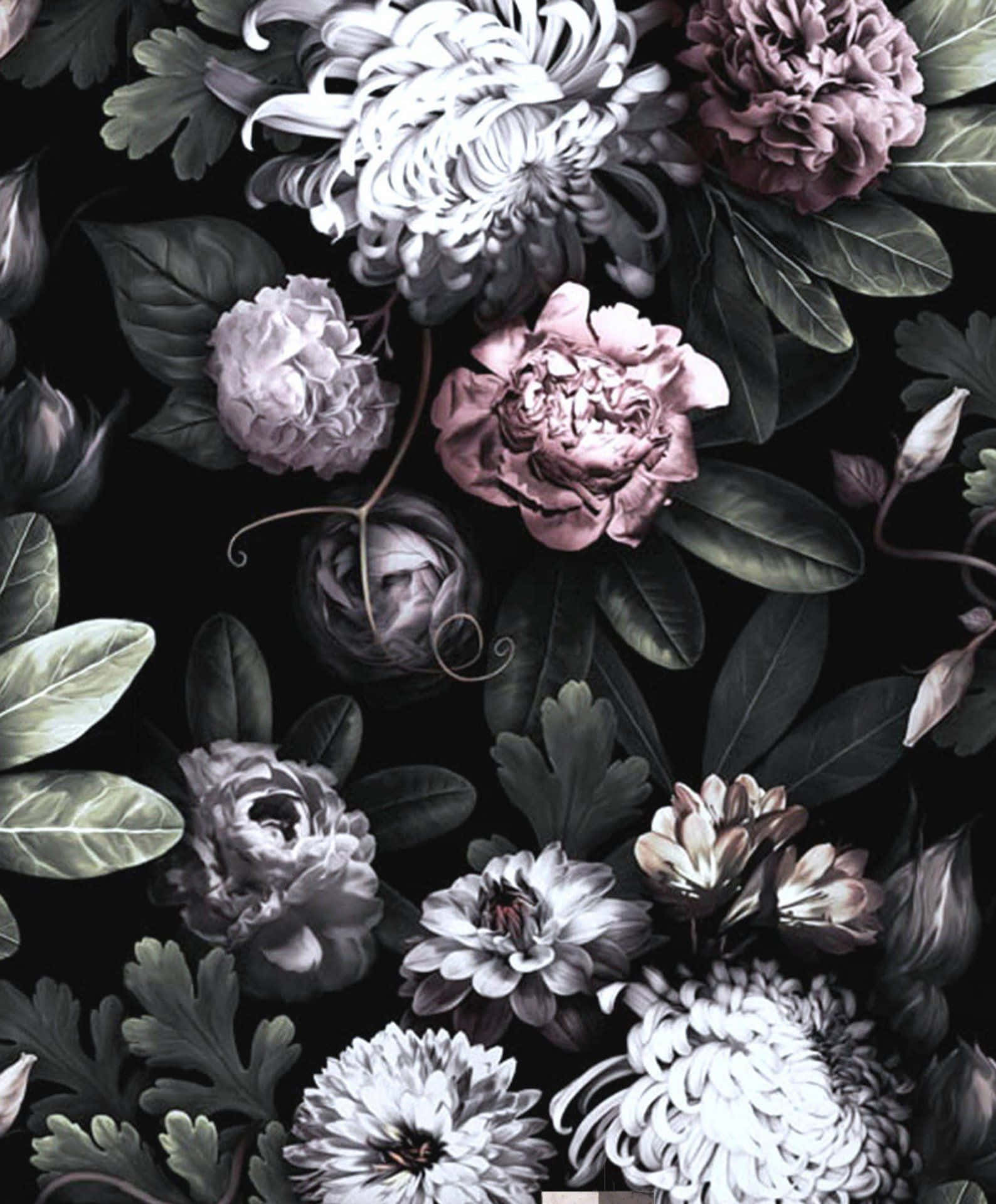 Dark Flower, monochrome, deep green leaves, HD Phone Wallpaper