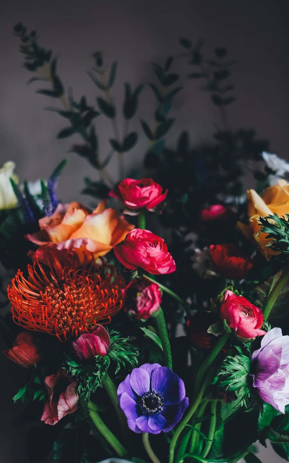 Dark Floral Elegance, red ranunculus, orange protea, HD Phone Wallpaper