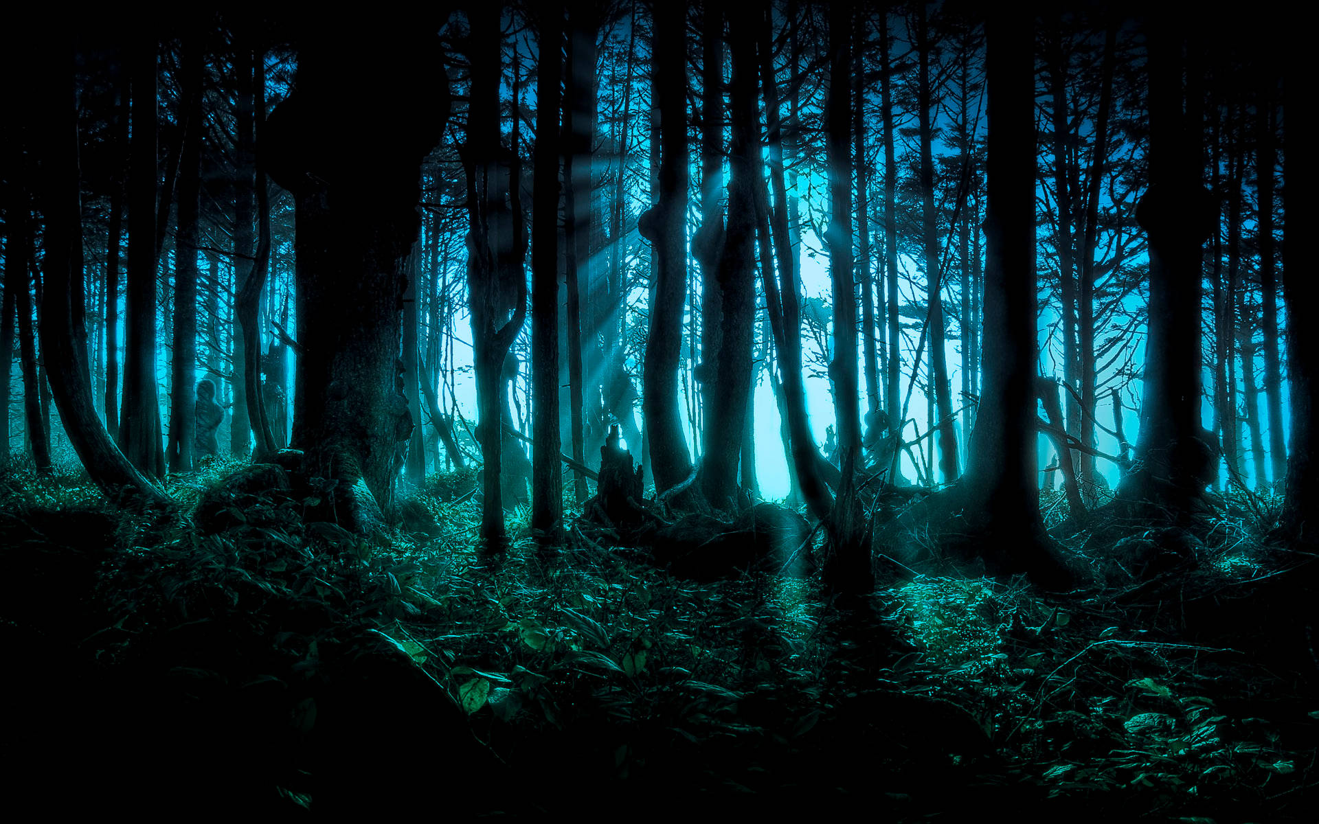 Dark Forest Aesthetic, eerie blue light, tall trees, Full HD Desktop Wallpaper