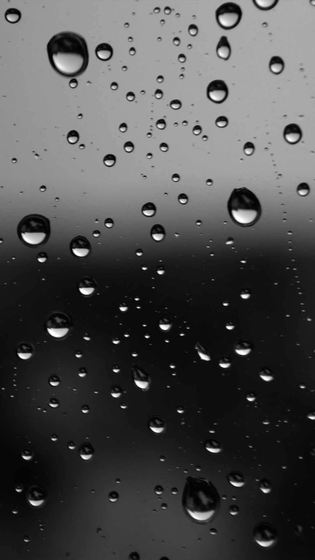 mystical dark forest scene, glistening raindrops, glass surface, Full HD Phone Wallpaper