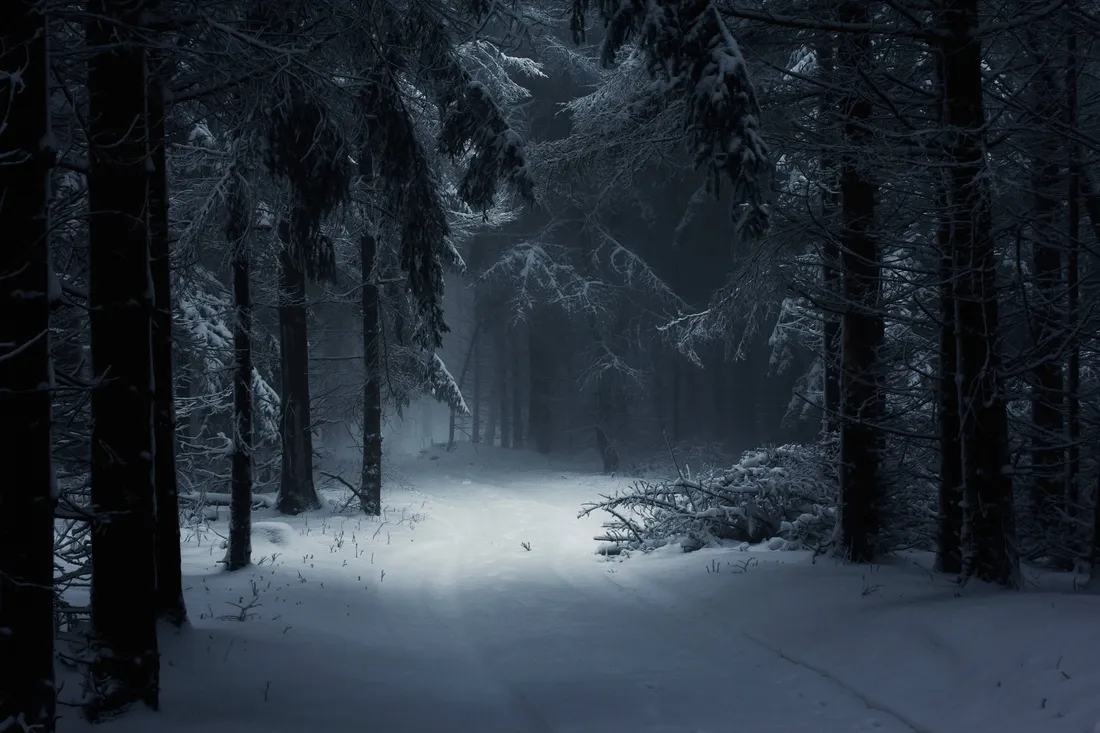 Dark Forest iPhone