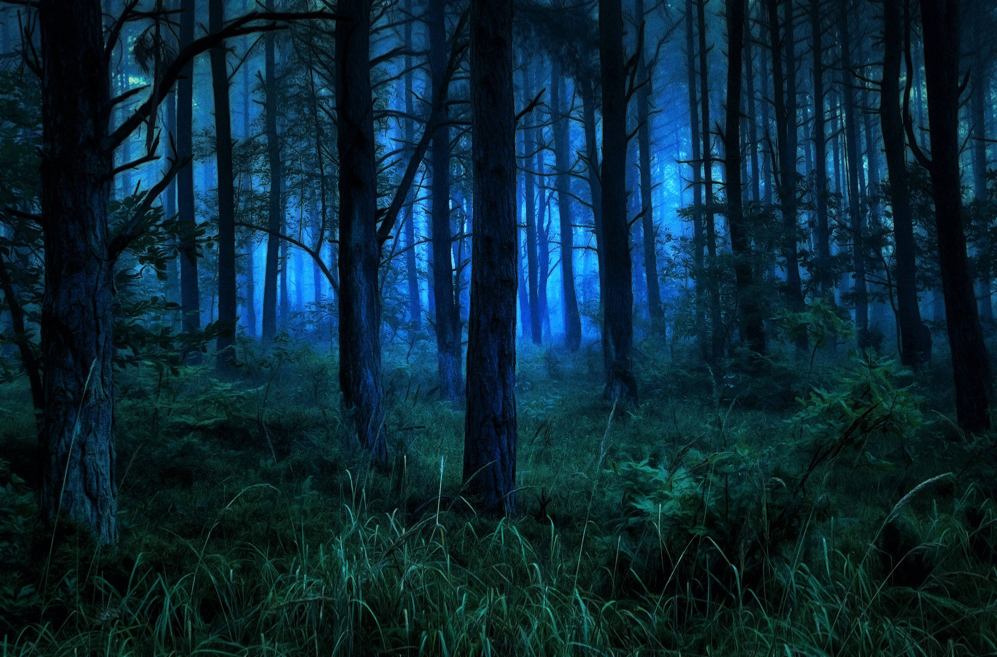 Evening Dark Forest iPhone, Misty forest, eerie blue light, Full HD Desktop Wallpaper