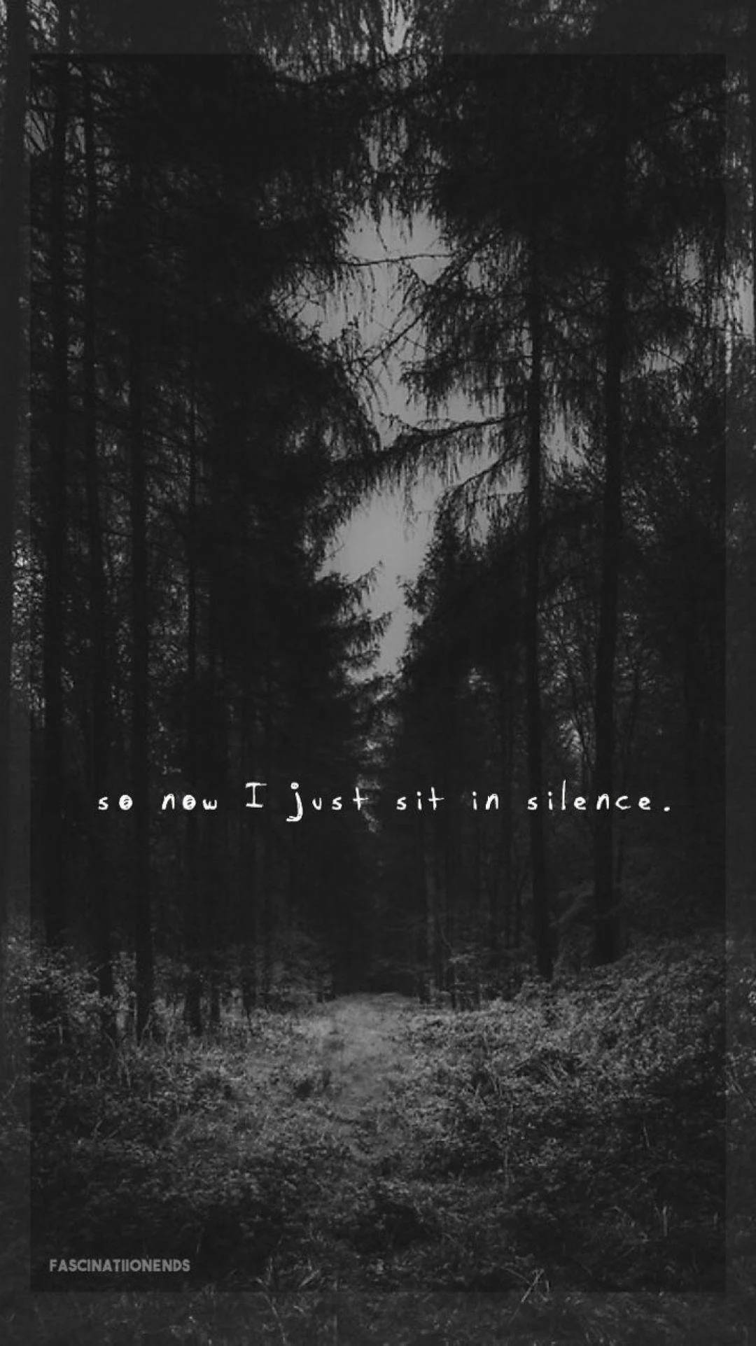 Black Aesthetic iPhone, forest path, towering trees, Full HD Phone Wallpaper