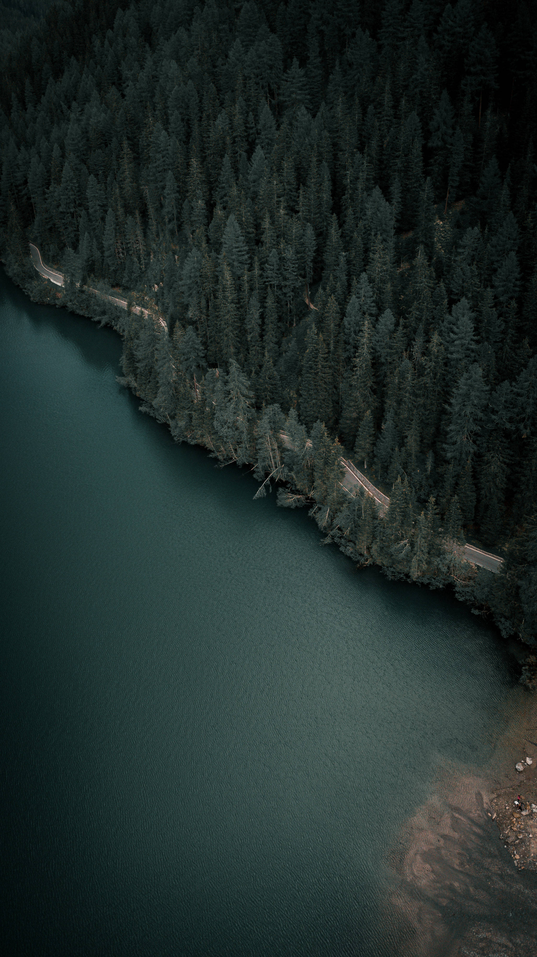 lake, dark forest, pine forest, 4K Phone Wallpaper