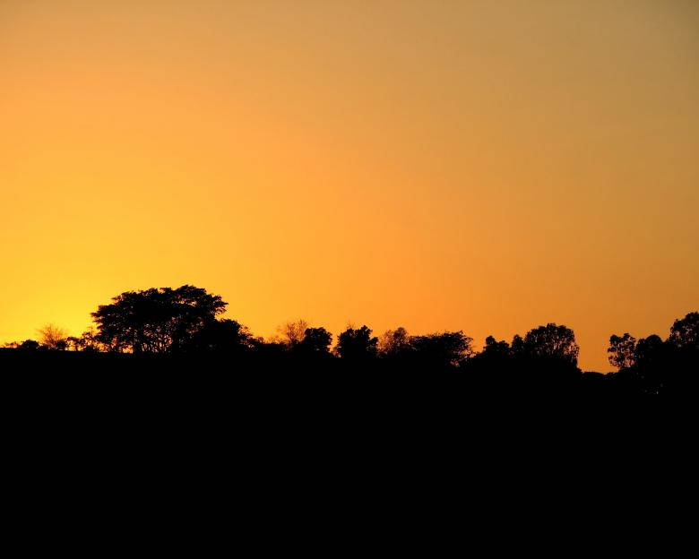 Sunset, Dark Forest, iPhone, SD Desktop Wallpaper