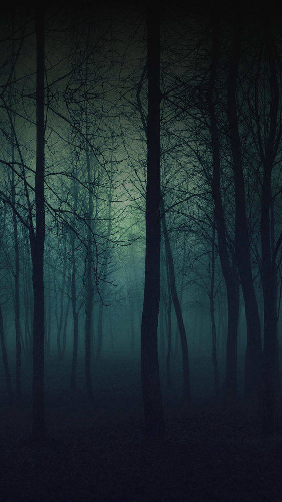 Dark Eerie Forest iPhone, night, bare trees, SD Phone Wallpaper