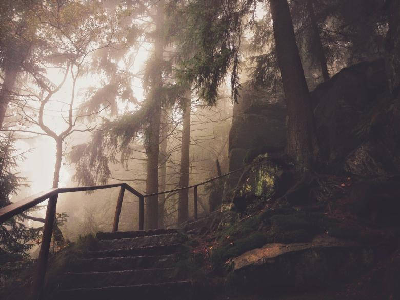 Dark Forest iPhone, misty forest, stairs, SD Desktop Wallpaper