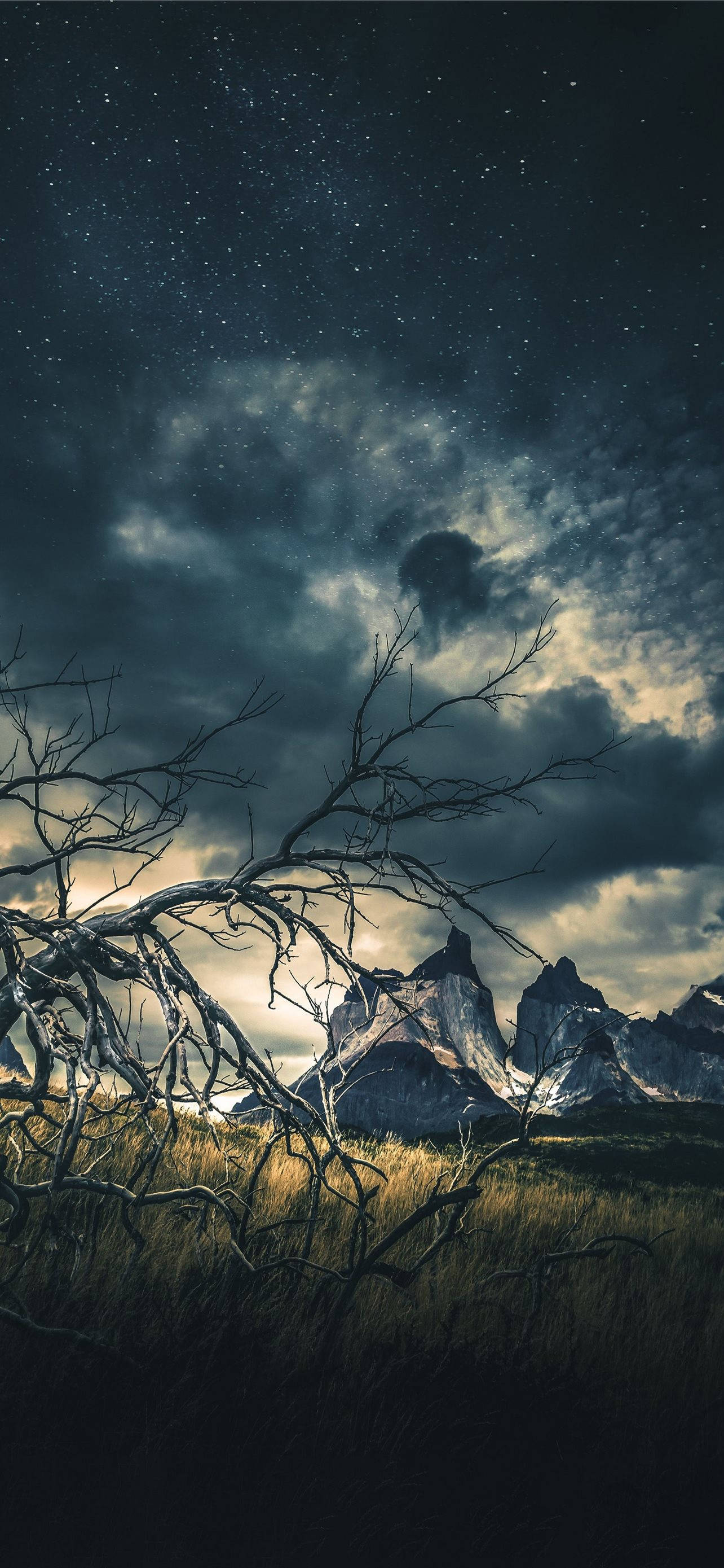 Dark Forest iPhone 2021, starry night sky, swirling clouds, 2K Phone Wallpaper