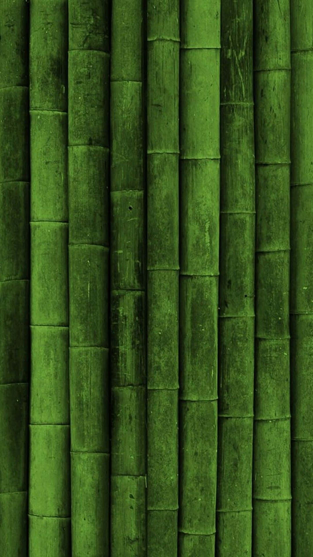 Dark Green iPhone, bamboo trees, vertical green bamboo stalks, Full HD Phone Wallpaper