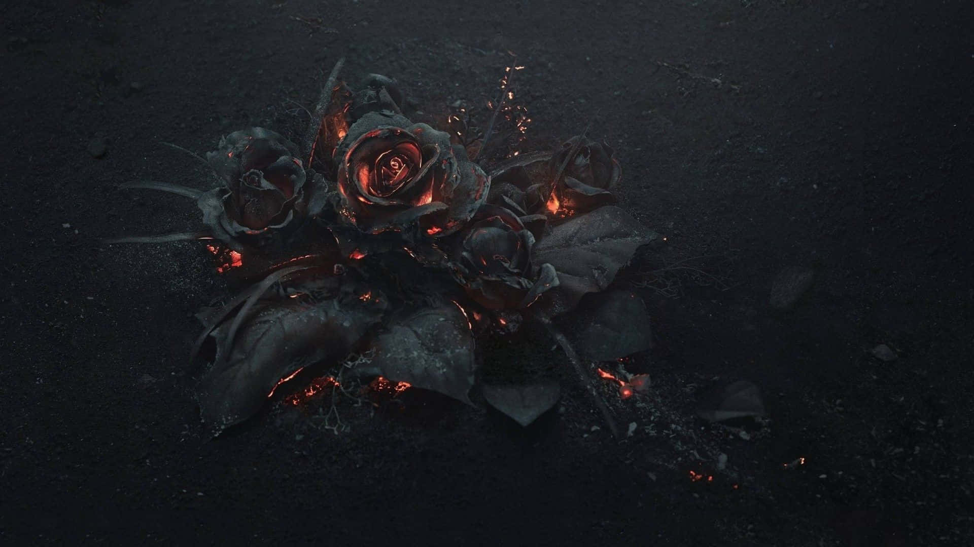 dark gothic roses, glowing embers, charred roses, Full HD Desktop Wallpaper