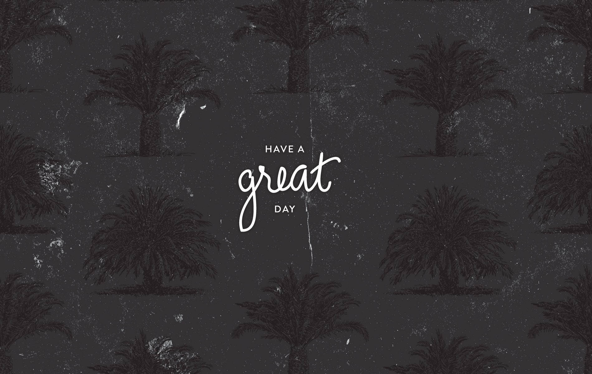 Dark Gray, palm tree silhouettes, white cursive text, HD Desktop Wallpaper