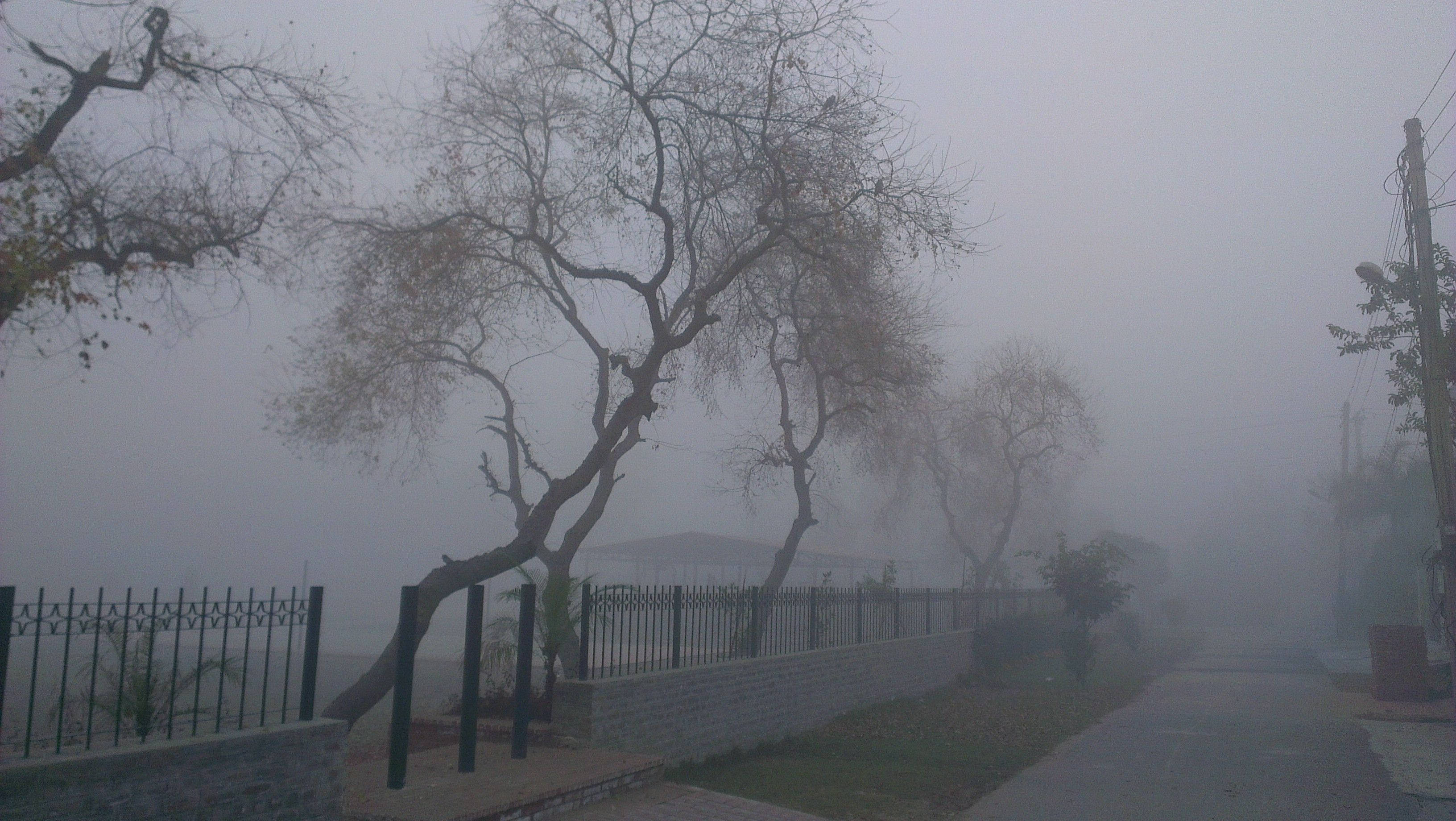 Foggy Dark Gray City, misty urban alleyway, bare trees, 2K Desktop Wallpaper