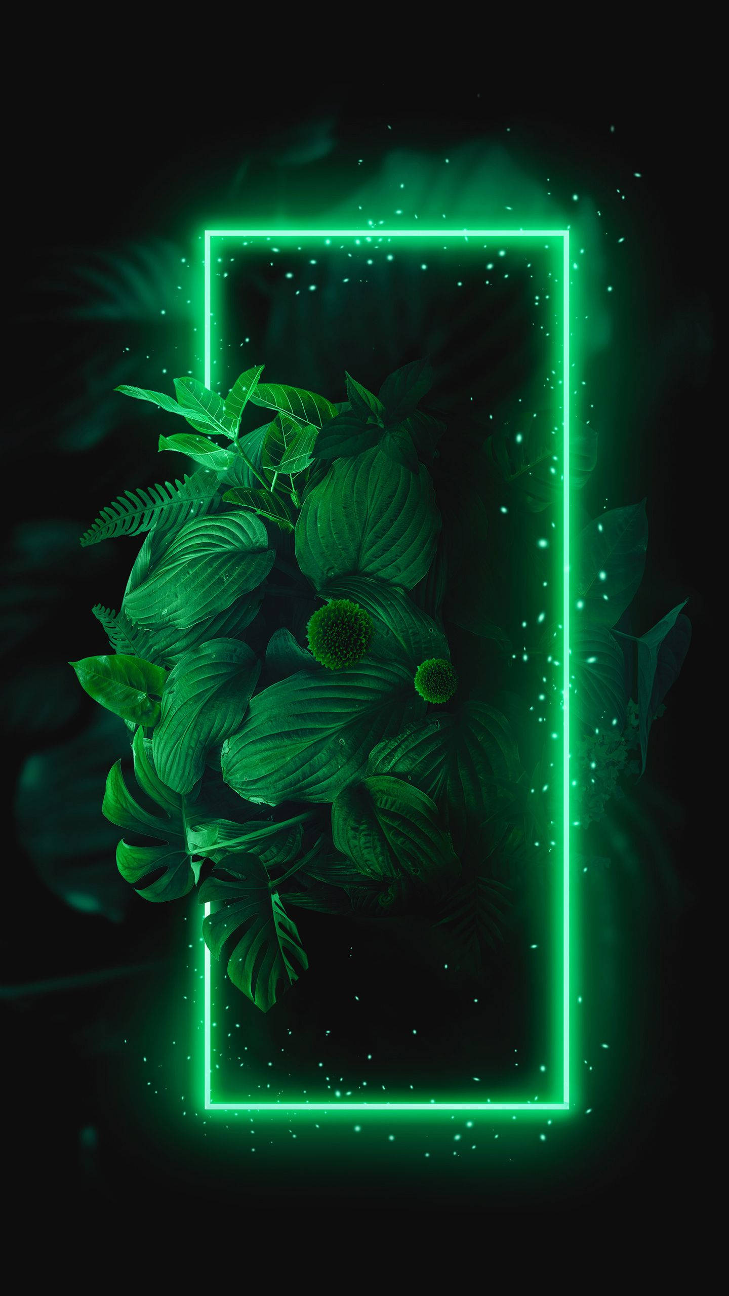 neon green, rectangular frame, black background, 2K Phone Wallpaper