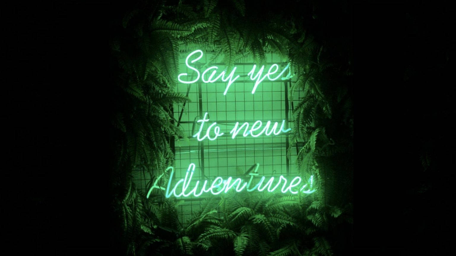 Dark Green Slogan Aesthetic, glowing green neon sign, Say yes to new Adventures, HD Desktop Wallpaper