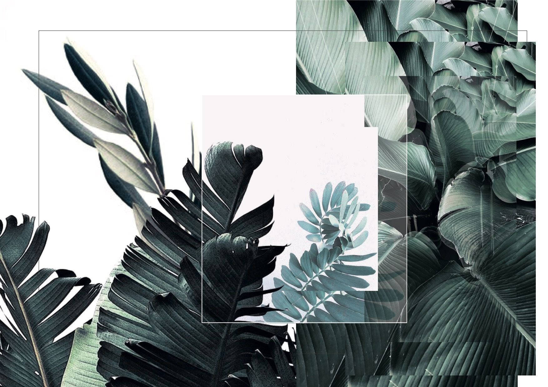 deep green, teal, white frames, HD Desktop Wallpaper