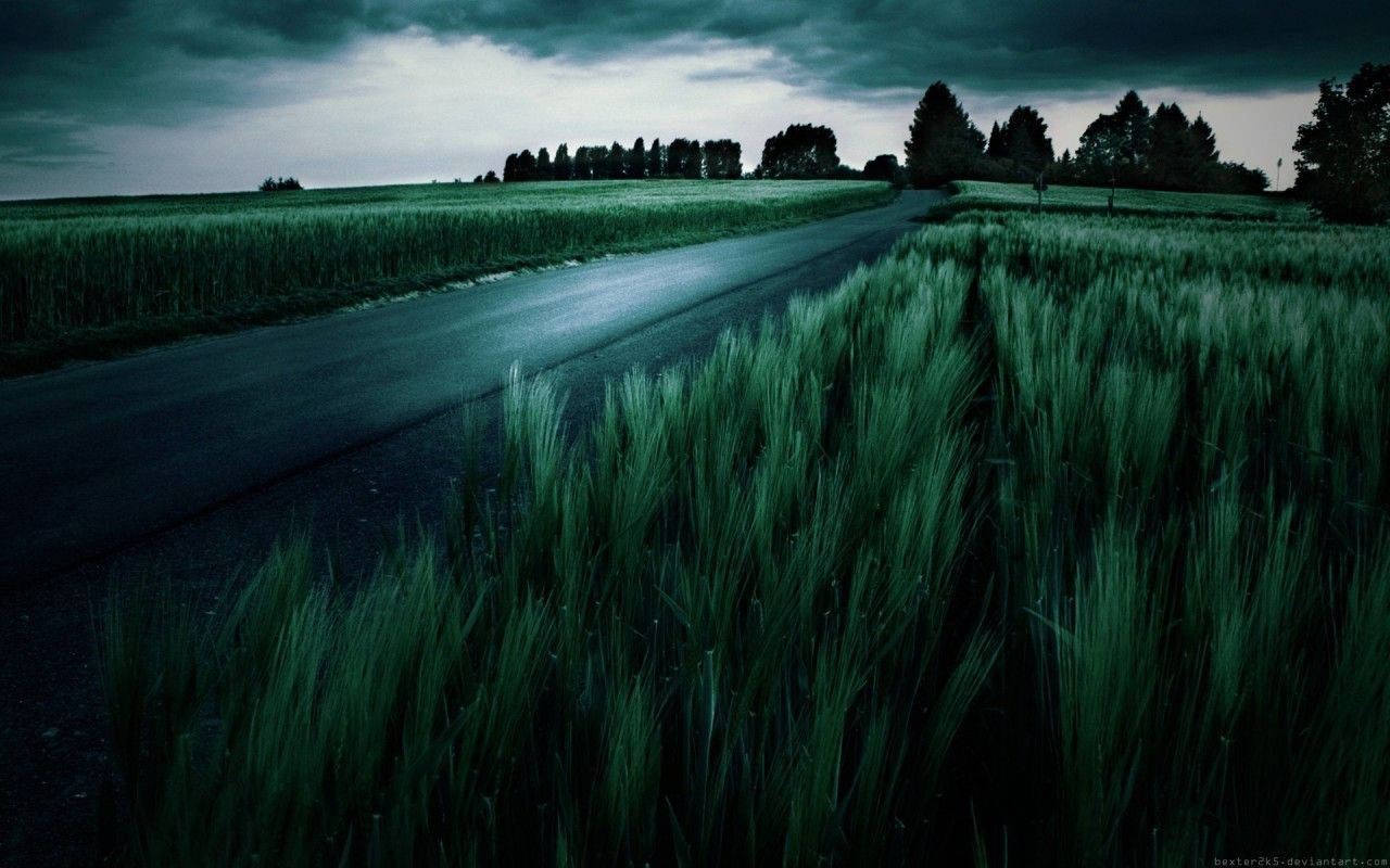 Dark Green Field Aesthetic, vast green field, stormy dark sky, HD Desktop Wallpaper