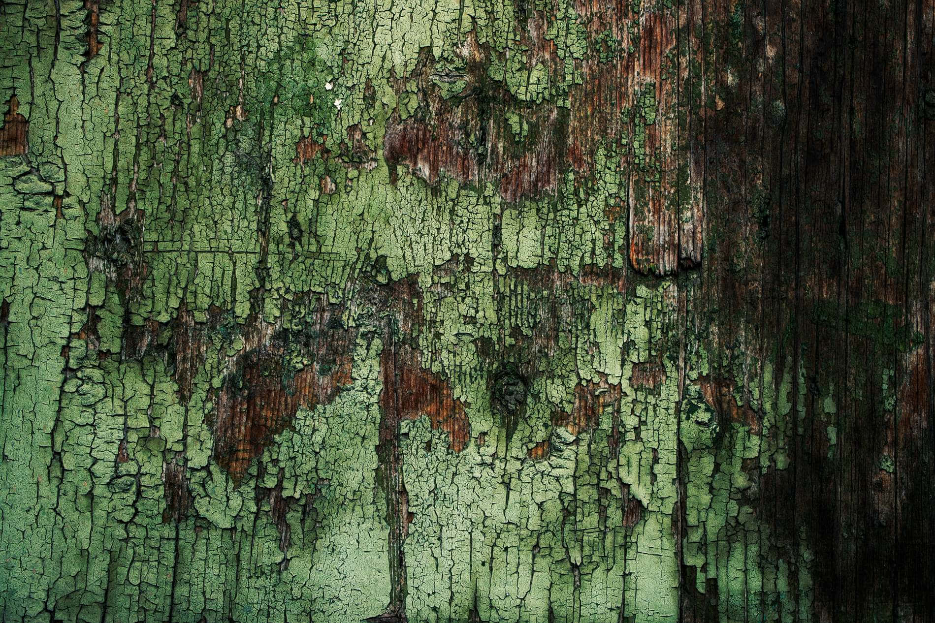 Dark Green Grunge, weathered green paint, cracking, HD Desktop Wallpaper