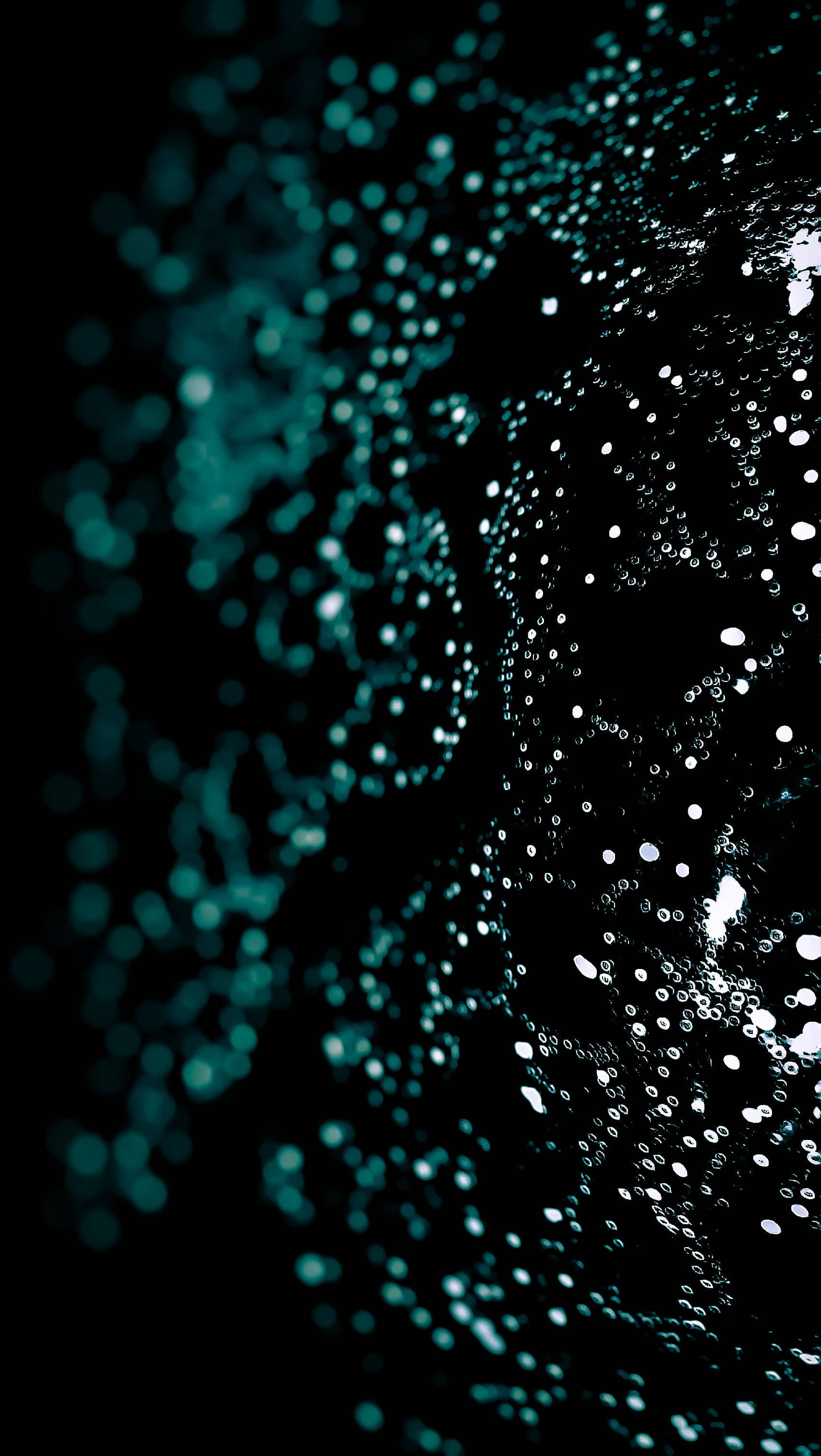dark green, wet, iPhone, 2K Phone Wallpaper