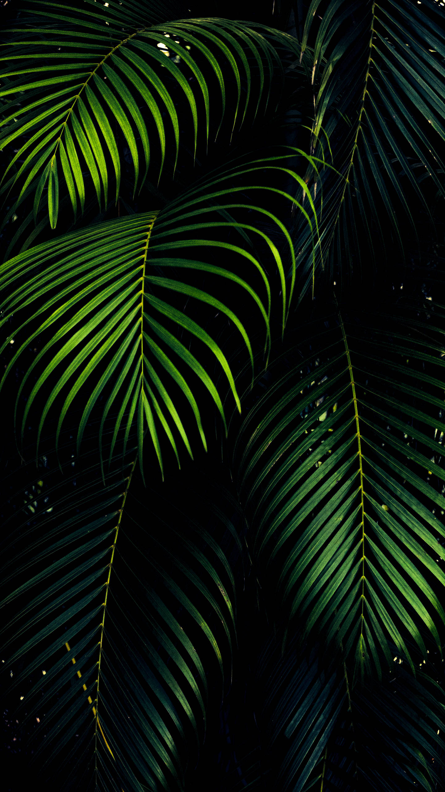 iPhone XS Max, OLED, 3D, 2K Phone Wallpaper